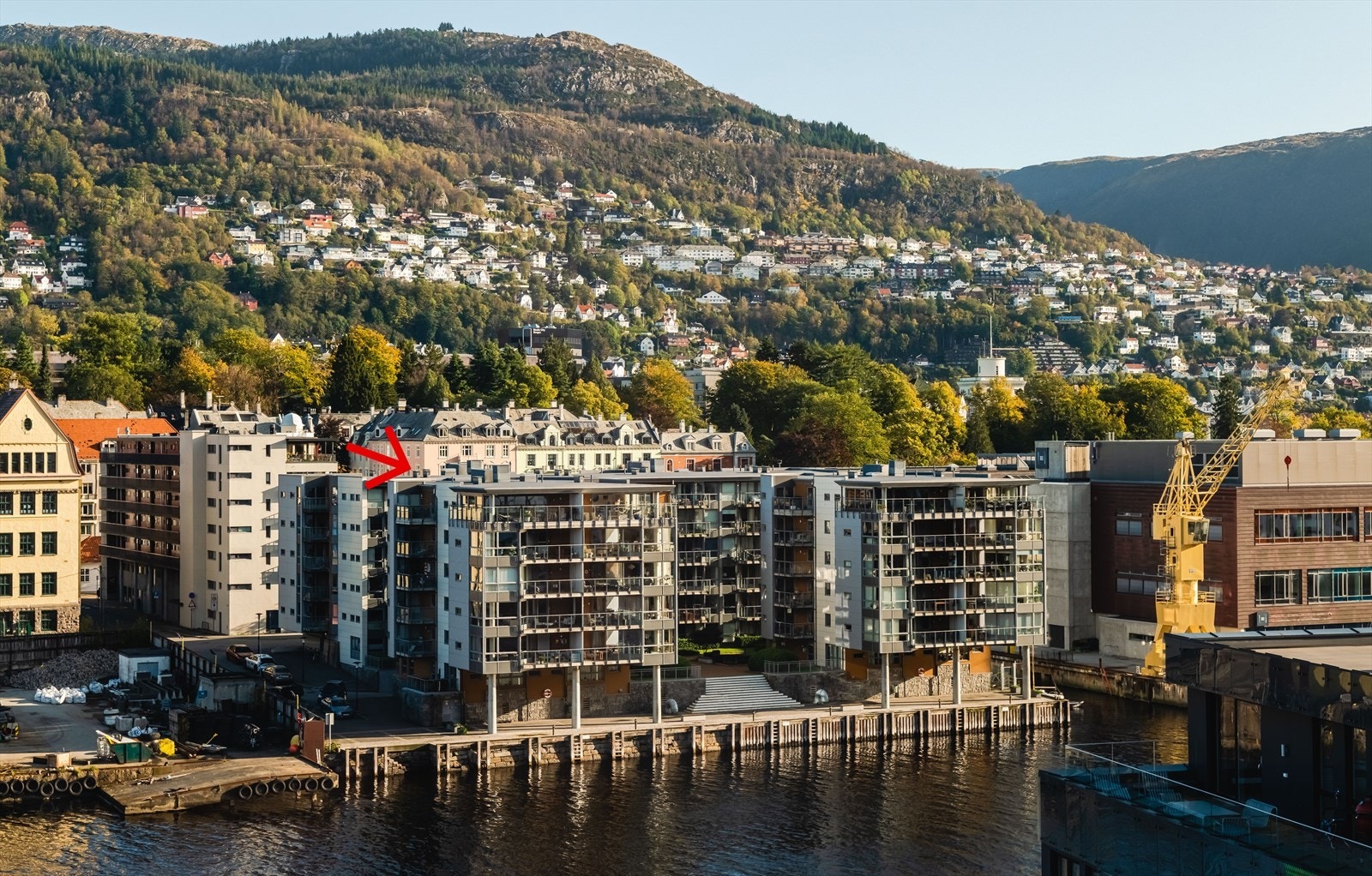 Velkommen til visning! Galleribilde