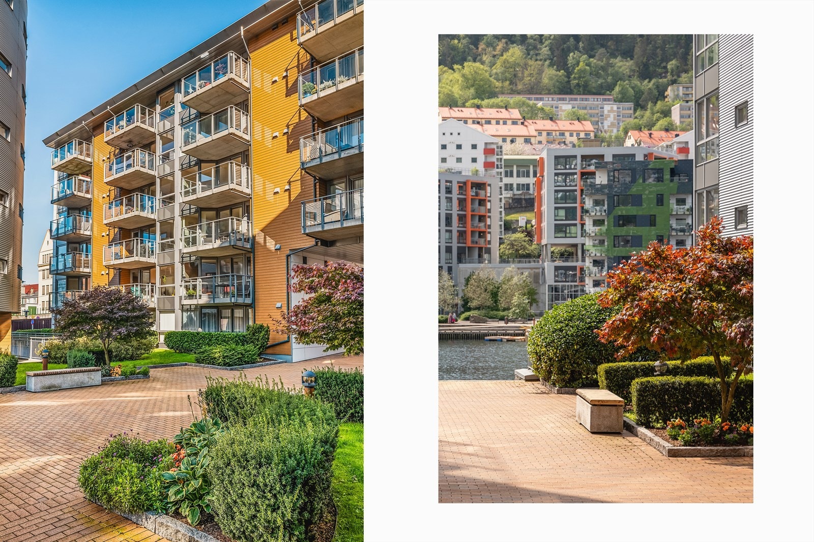 Fellesområde er nydelig ivaretatt med prydbusker, trær, blomster, belegningstein, benker og murer. Galleribilde