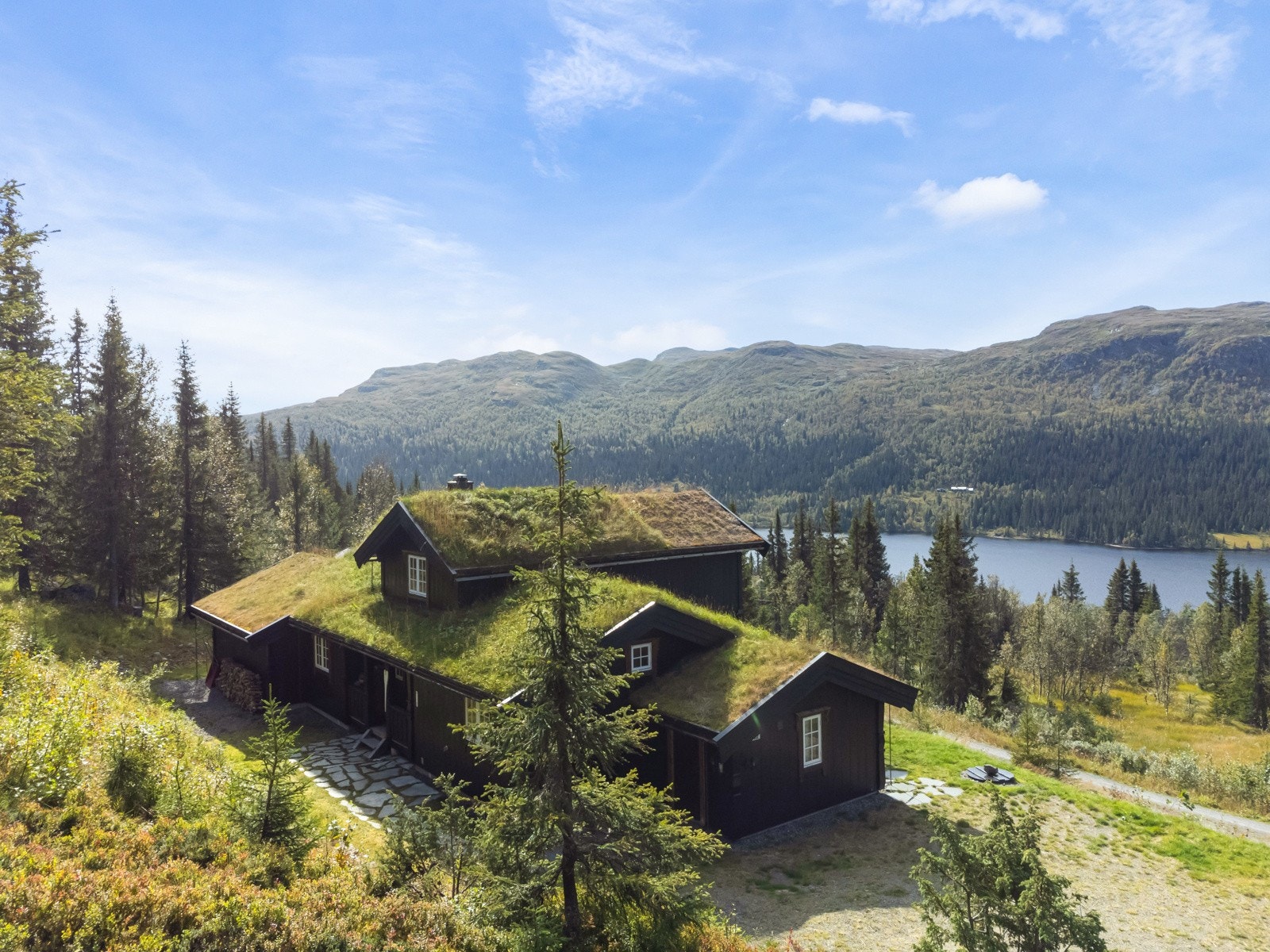 Synnfjell er et flott helårsområde med fine turmuligheter både sommer og vinter Galleribilde