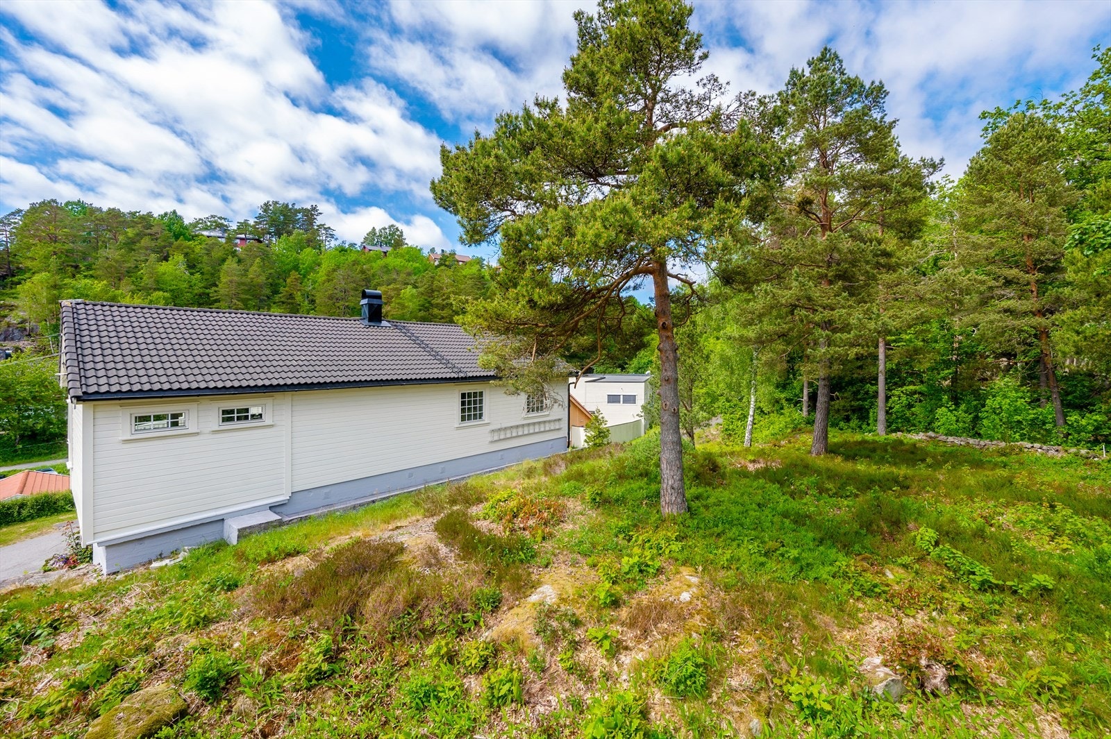 Boligen har god plass på baksiden. Galleribilde