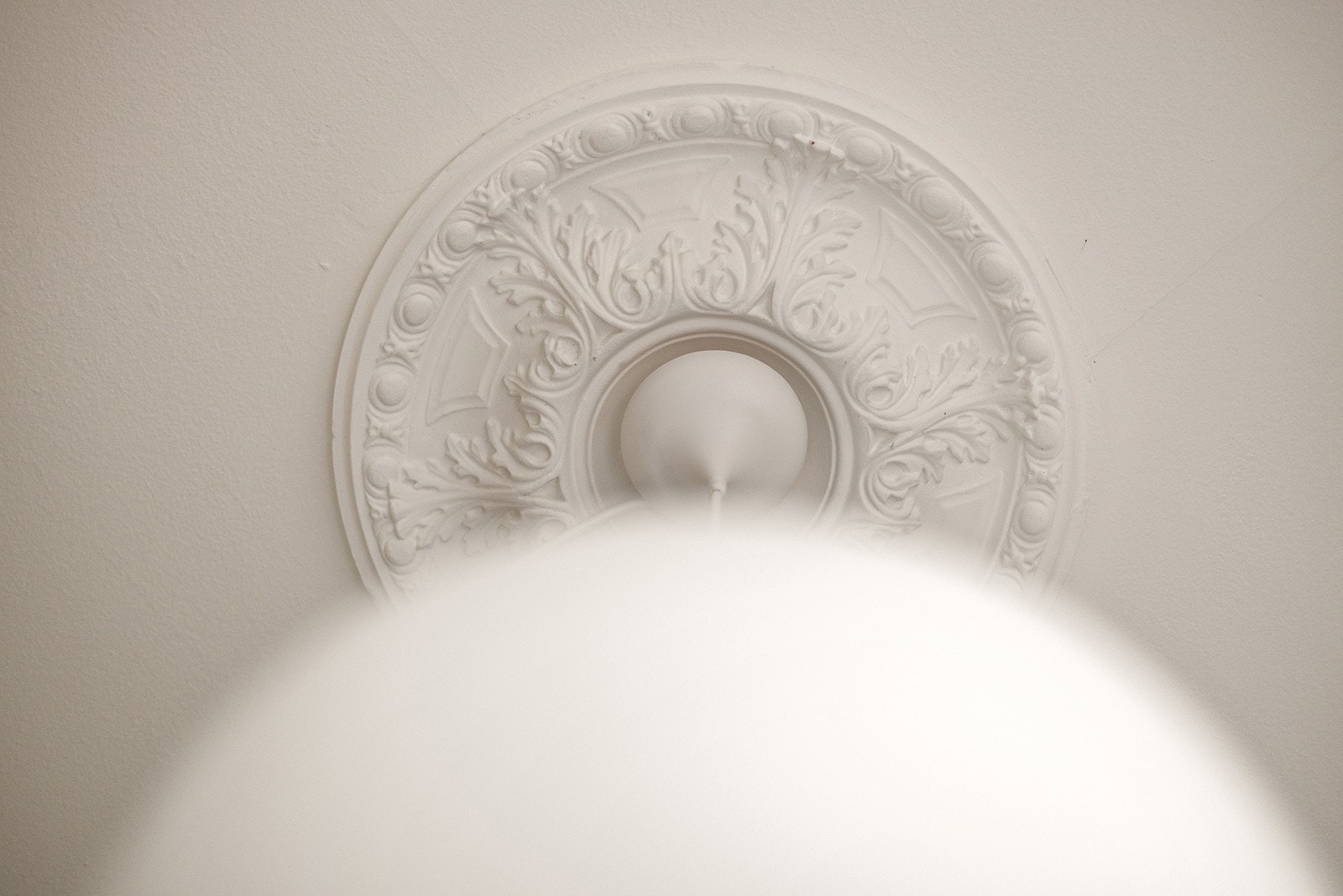 I himlingen er det en søt liten rosett. Galleribilde