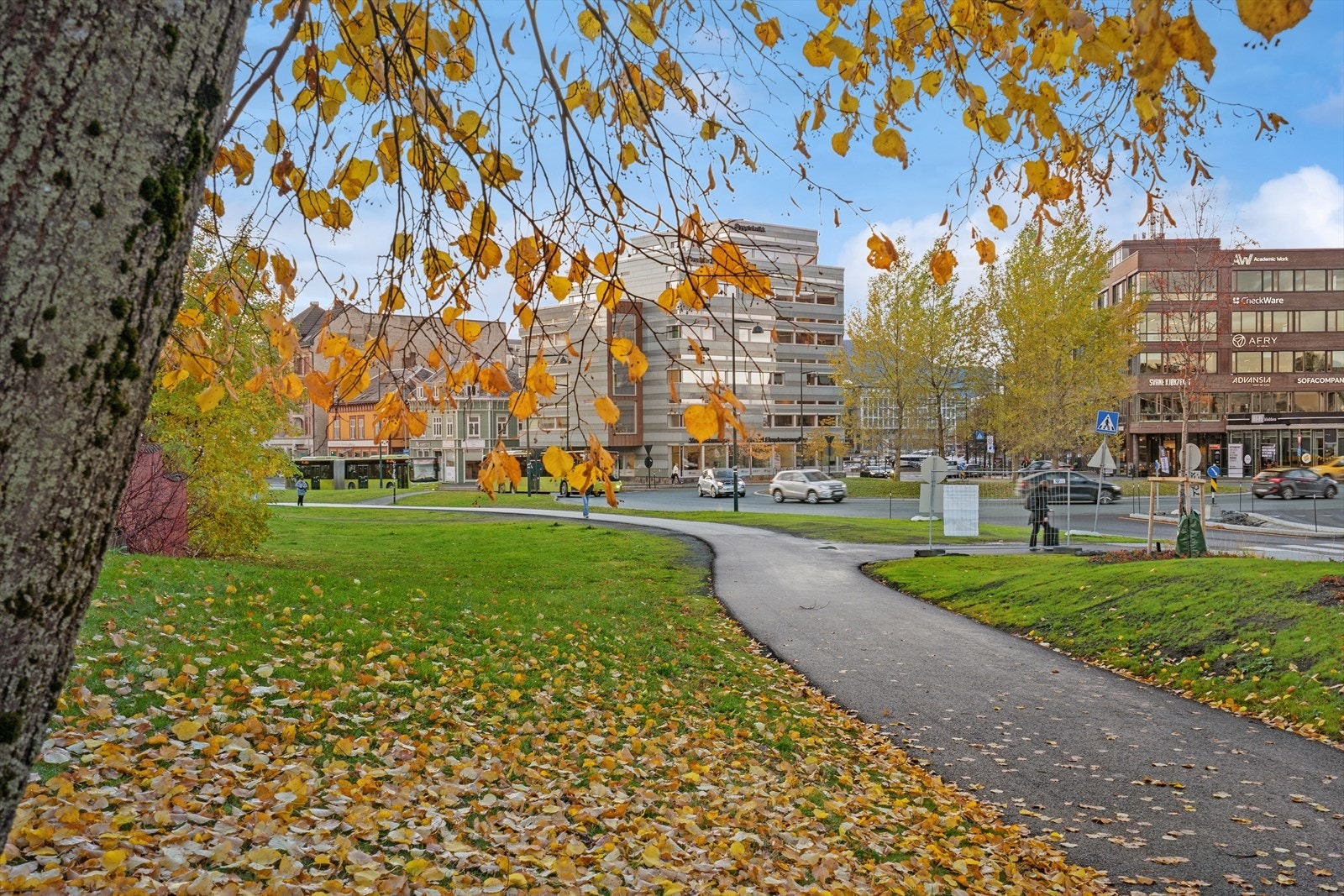 Nærområde Solsiden. Galleribilde