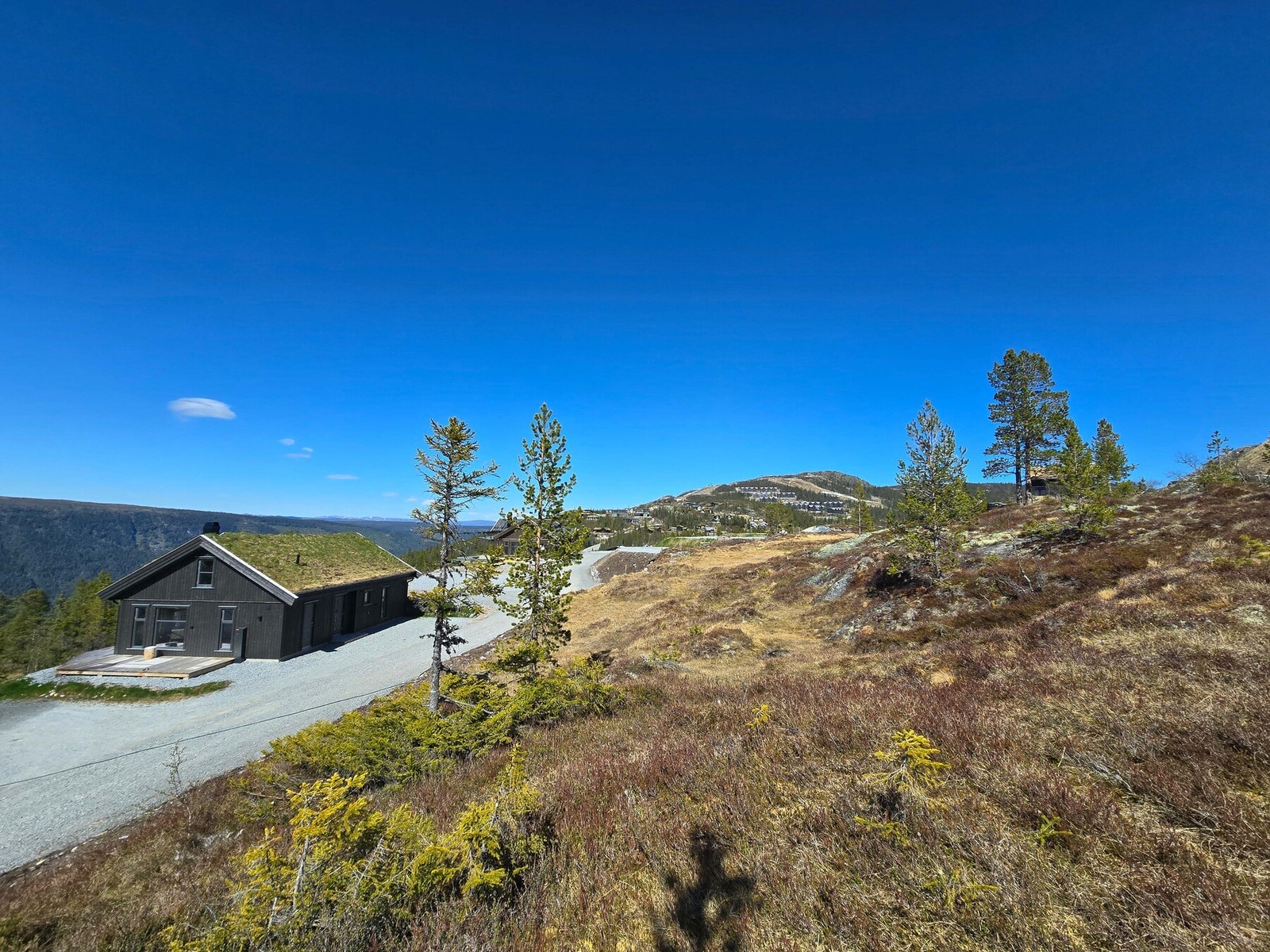 Utsikt fra tomta Galleribilde