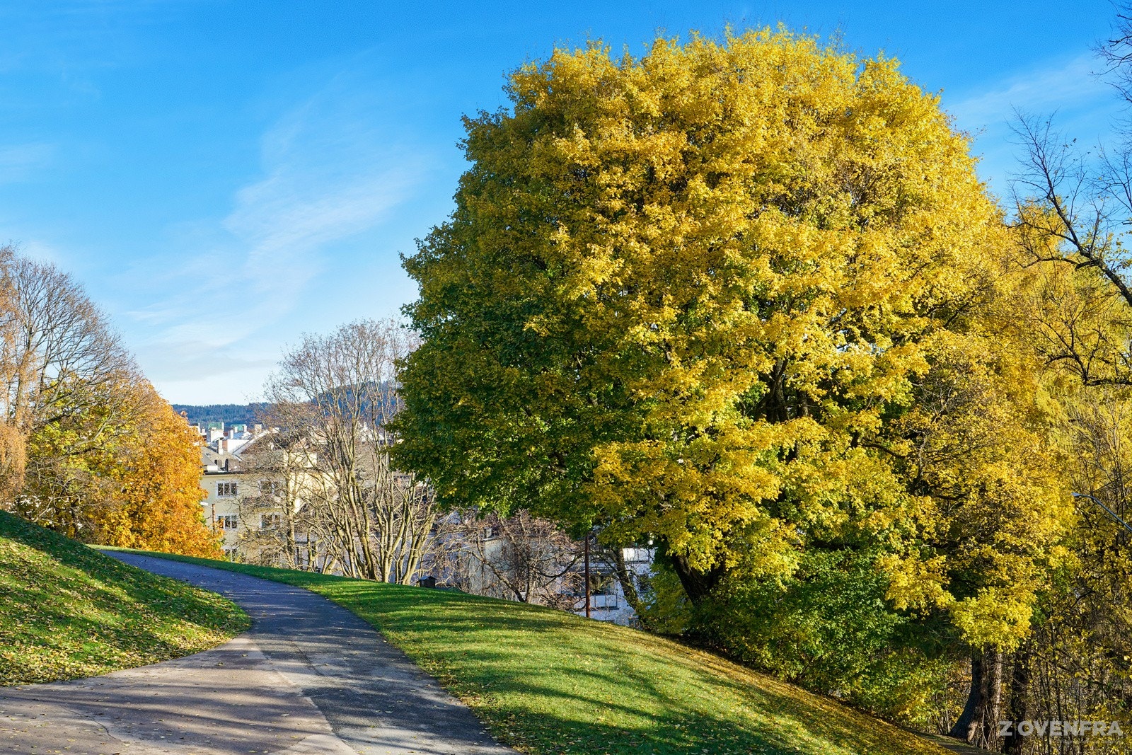 Flere flotte parkanlegg ligger i nærområdet og byr på gode rekreasjonsmuligheter hele året. Stensparken ligger i kort gangavstand fra boligen. Galleribilde