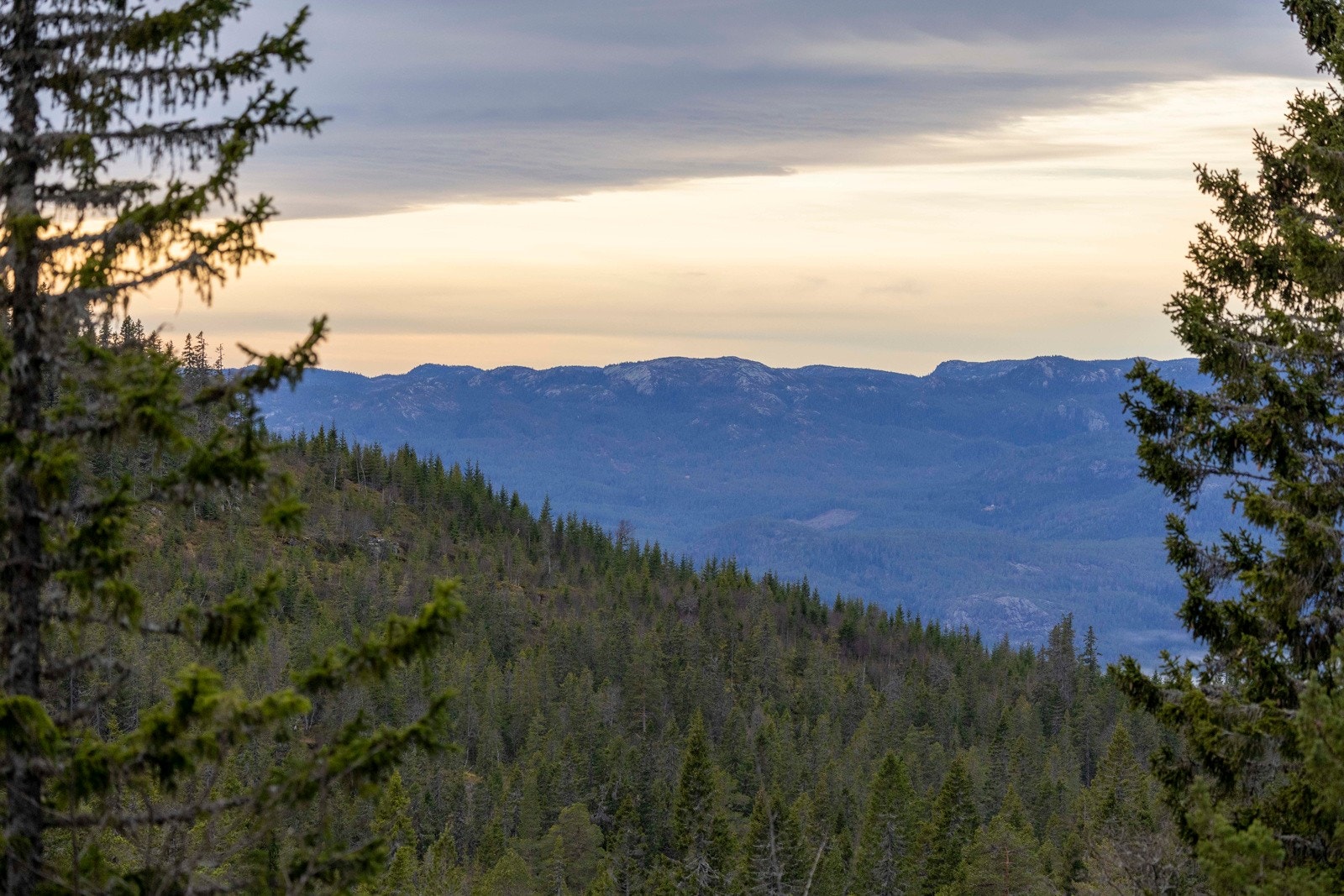 Magisk kveldsstemning. Galleribilde