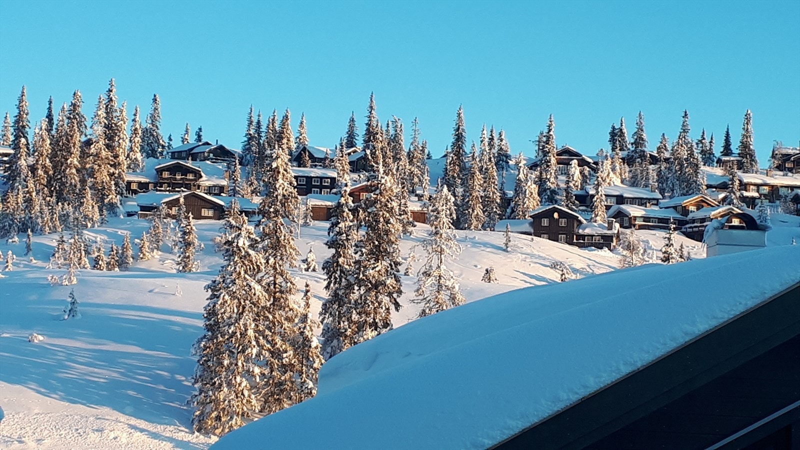 Selgers bilde - Utsikt fra terrassen Galleribilde