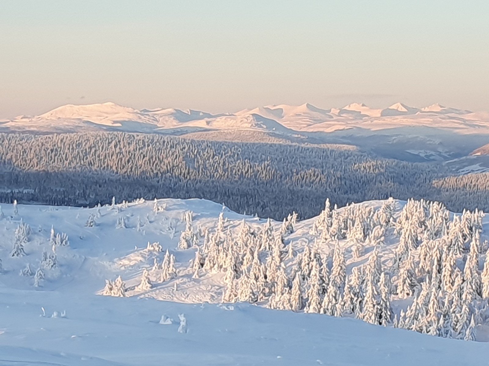 Selgers bilde - Utsikt til Rondane fra skibakken på øst Galleribilde