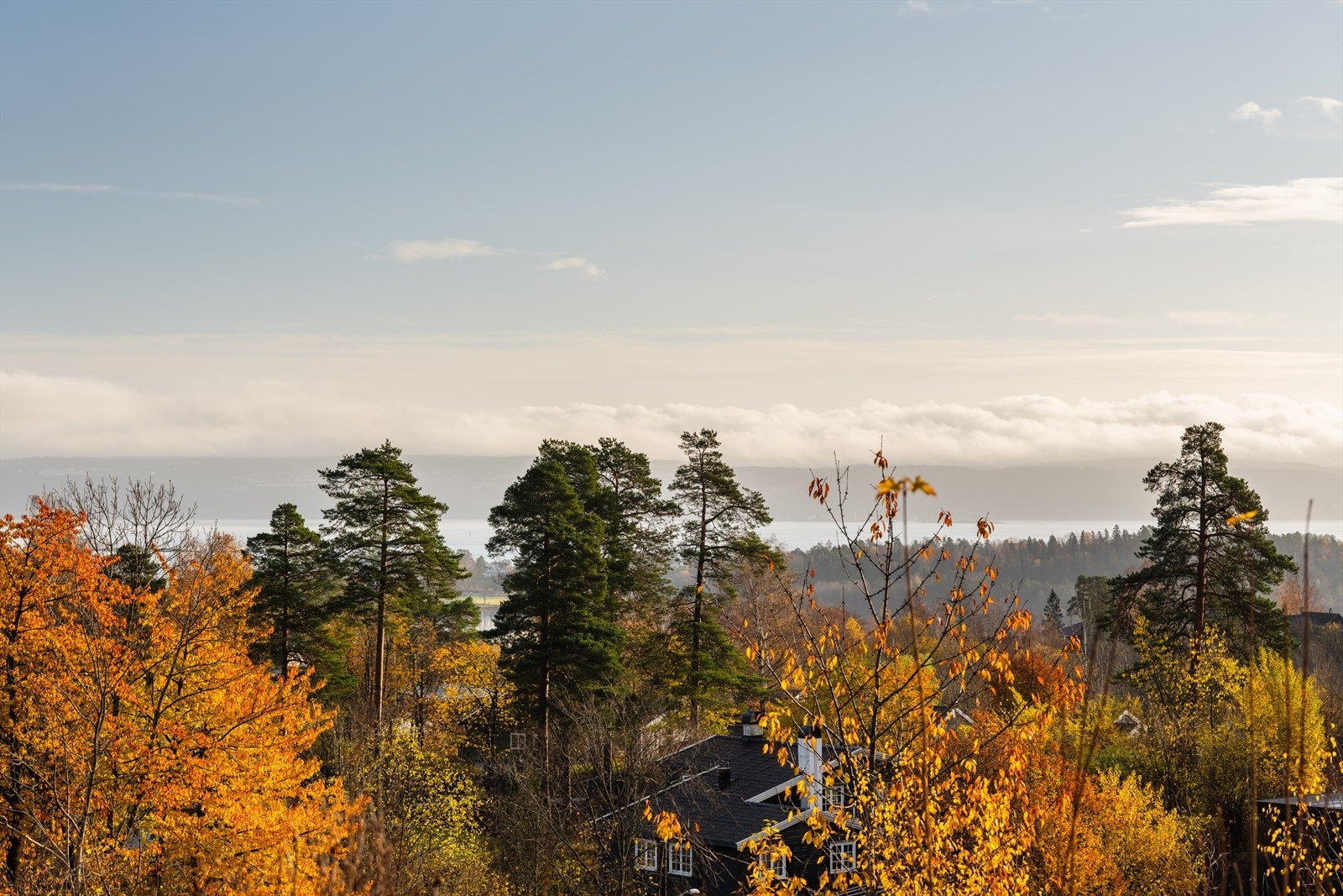 Høyt plassert på en luftig tomt får dette huset slående fjordutsikt og flotte solforhold som nytes dagen lang. Galleribilde