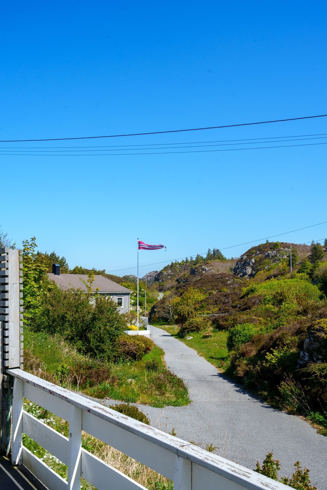 YON08822 1 Galleribilde