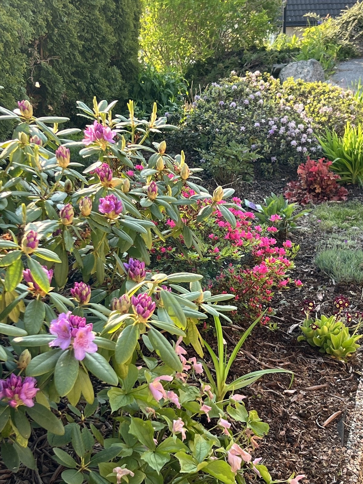 Private sommerbilder. Galleribilde