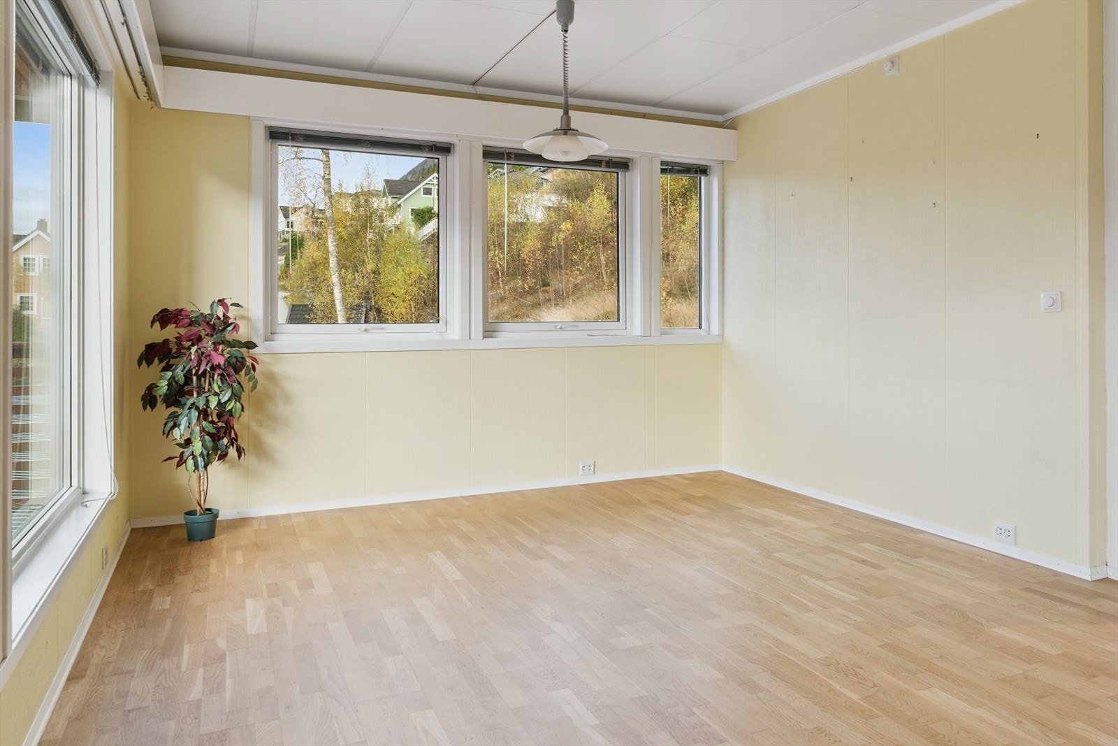 Vegg i stove mot kjøkken. Kanskje kan du ordne åpen kjøkkenløysing om du vil? Galleribilde