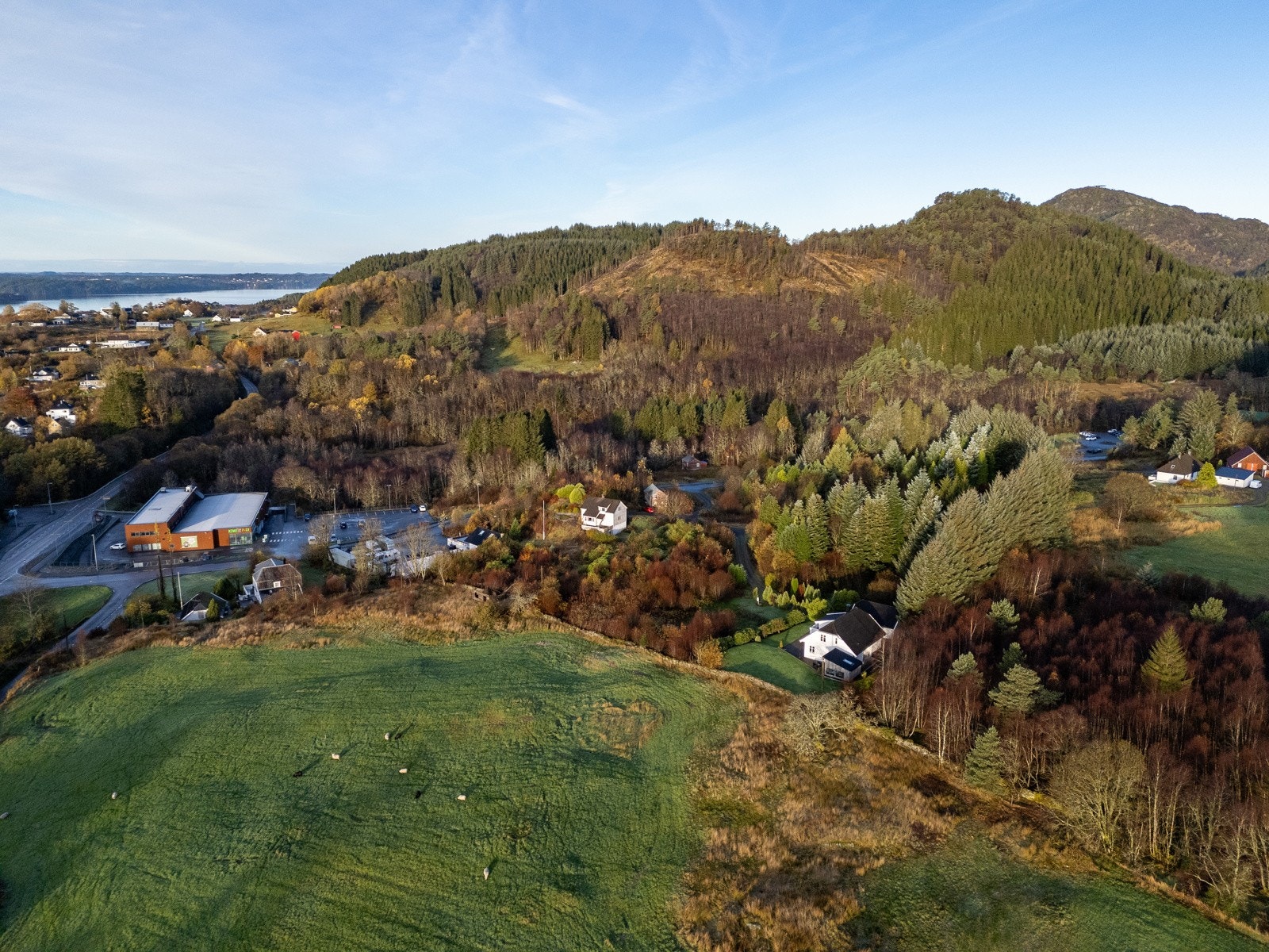 Kort vei til Kiwi som man kan se til venstre i bildet Galleribilde