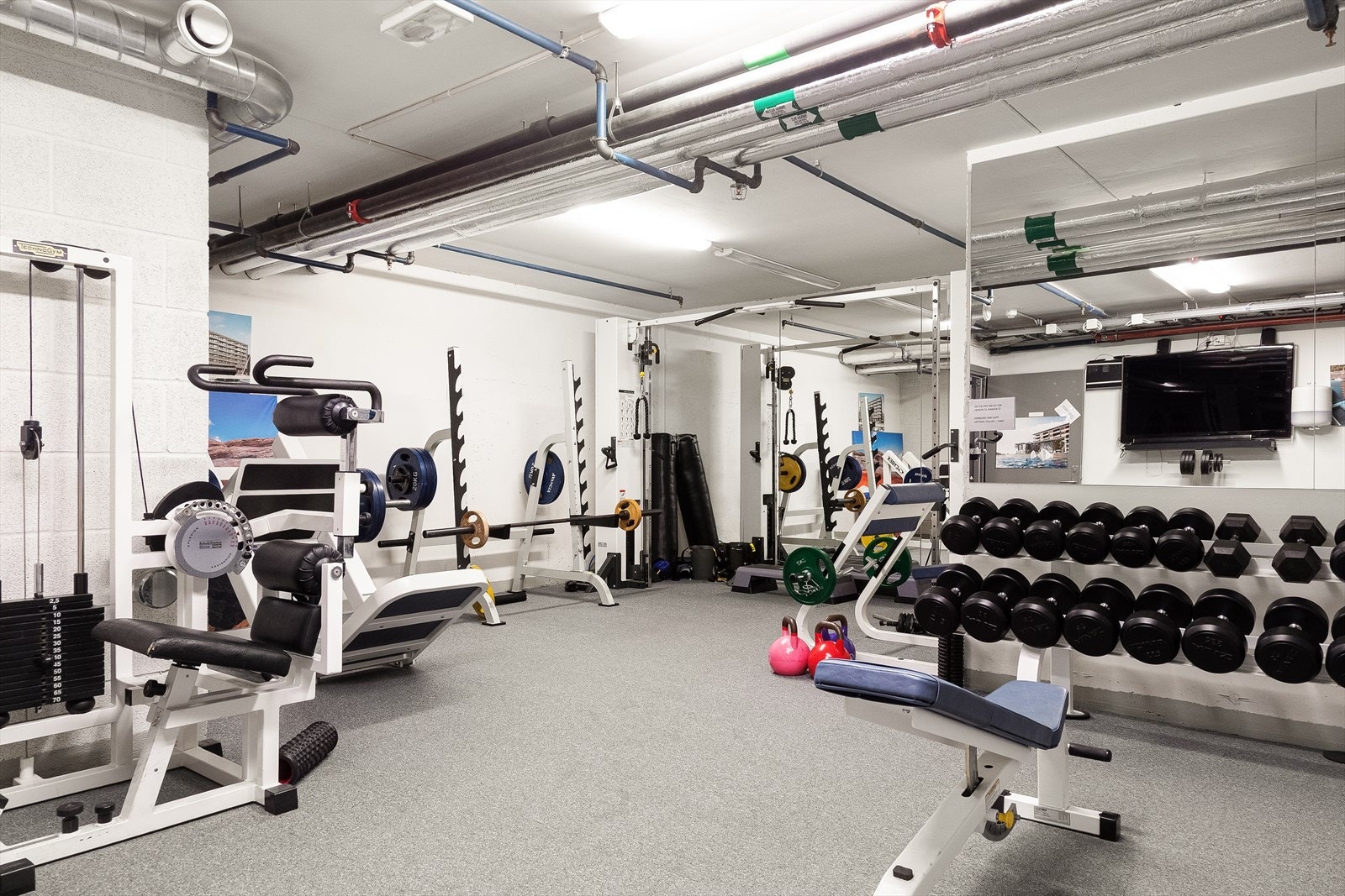Som eier av bolig i dette sameiet har man også tilgang på treningsrom. Galleribilde