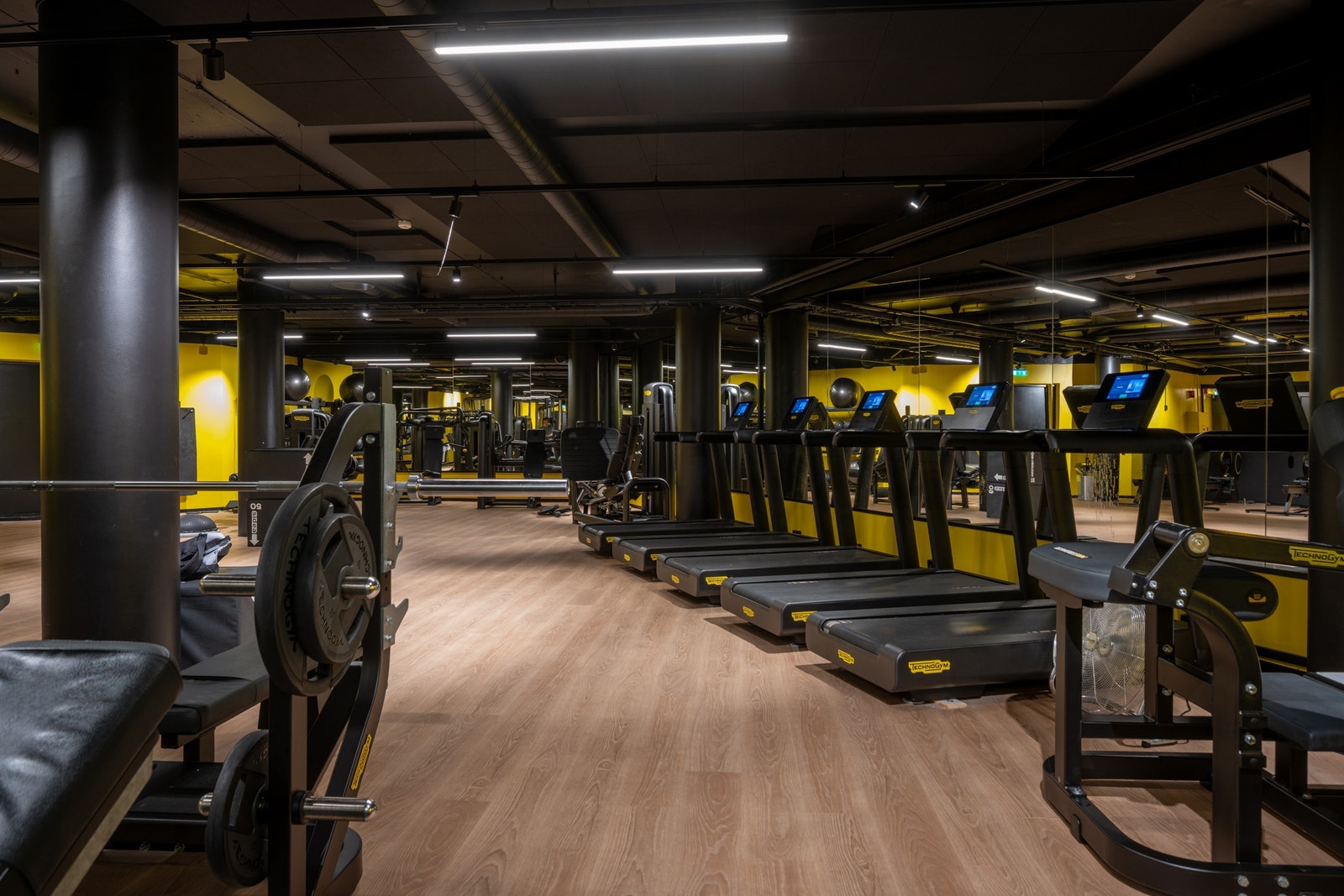 Trimrom Galleribilde