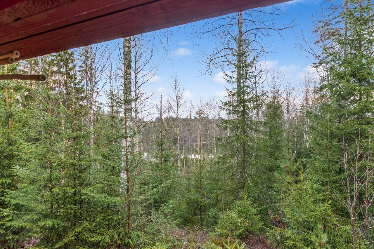 Eiendommen ligger i et skogsområde med muligheter for turer, bading og skiaktiviteter. Galleribilde