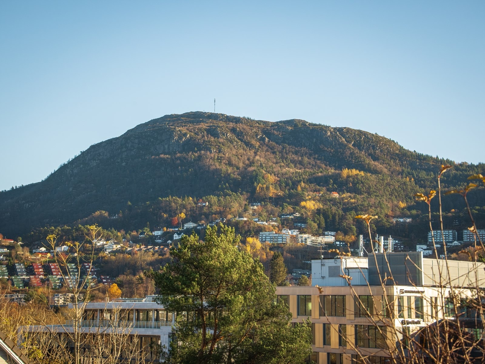 Utsiktsbilde fra leiligheten. Galleribilde