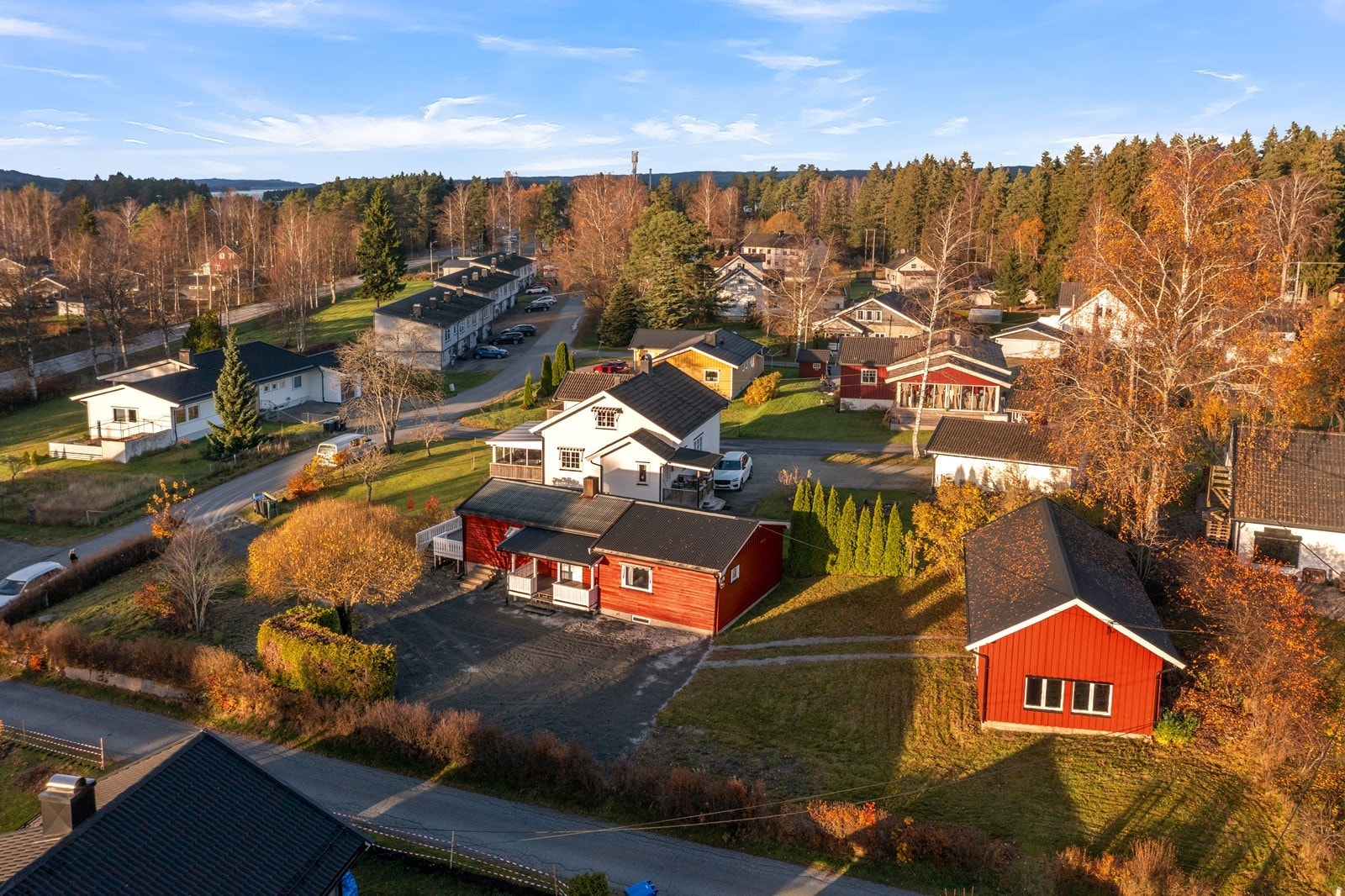 Område. Galleribilde