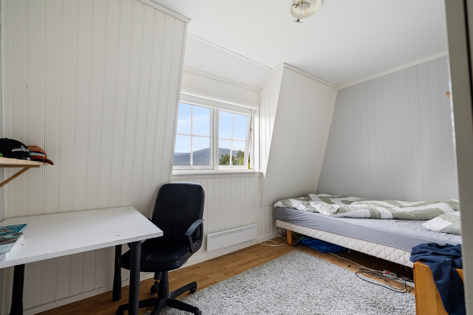 Seksjon 3 Galleribilde