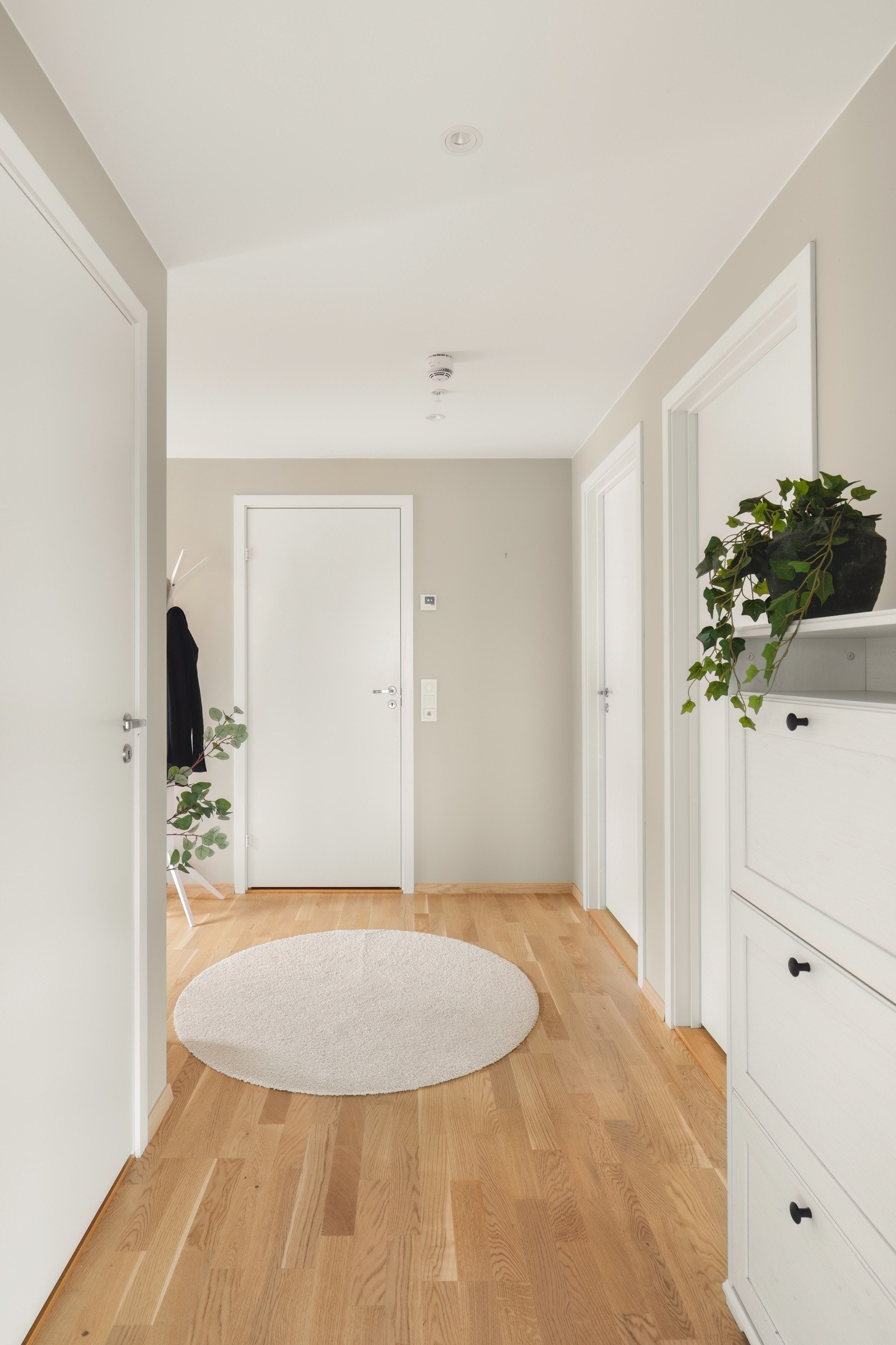 Forehammer 25 (25) Galleribilde