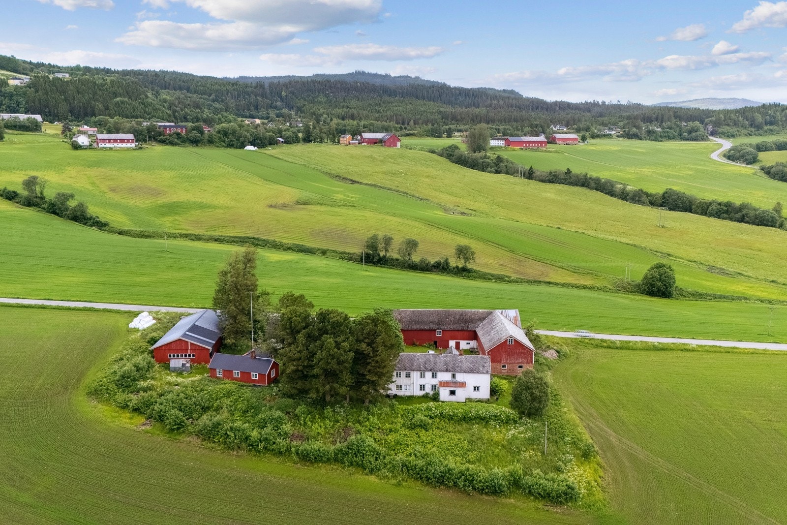 Gårdstun Galleribilde