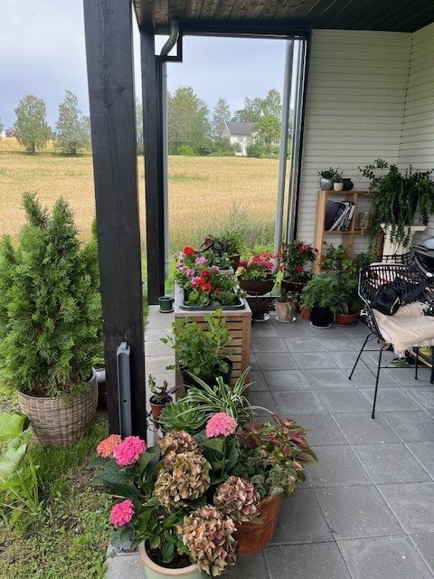 Kose seg på den flotte uteplassen. Galleribilde