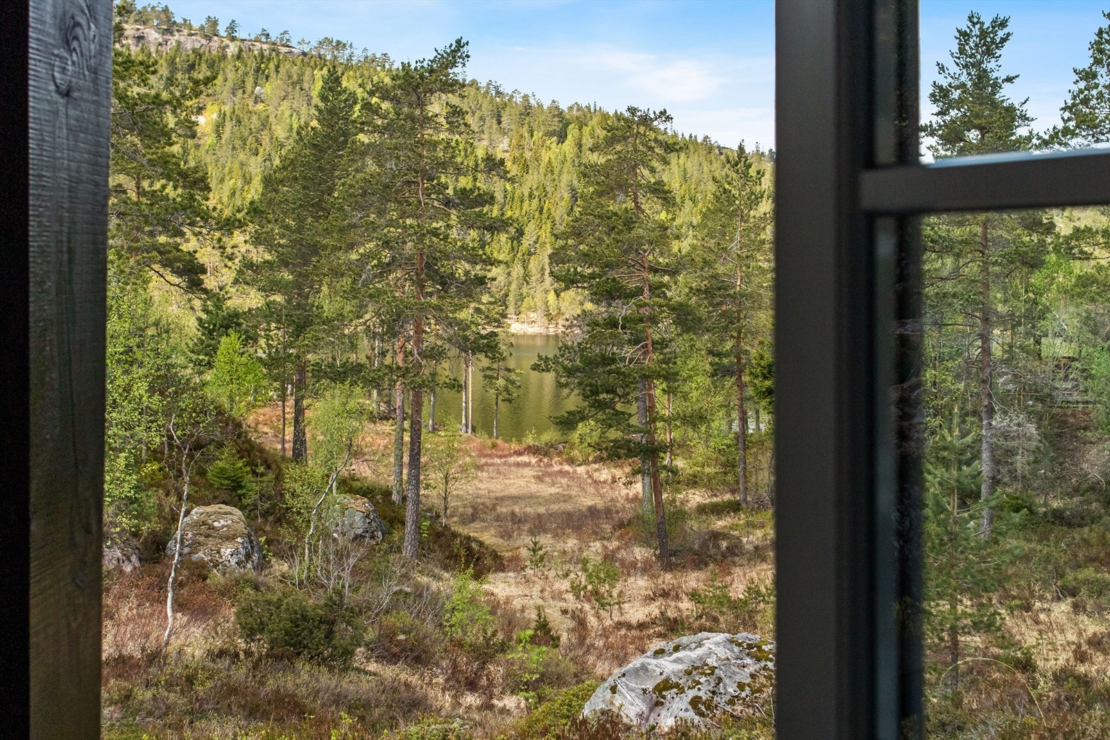 Flott utsikt fra stuen ned til vannet Galleribilde