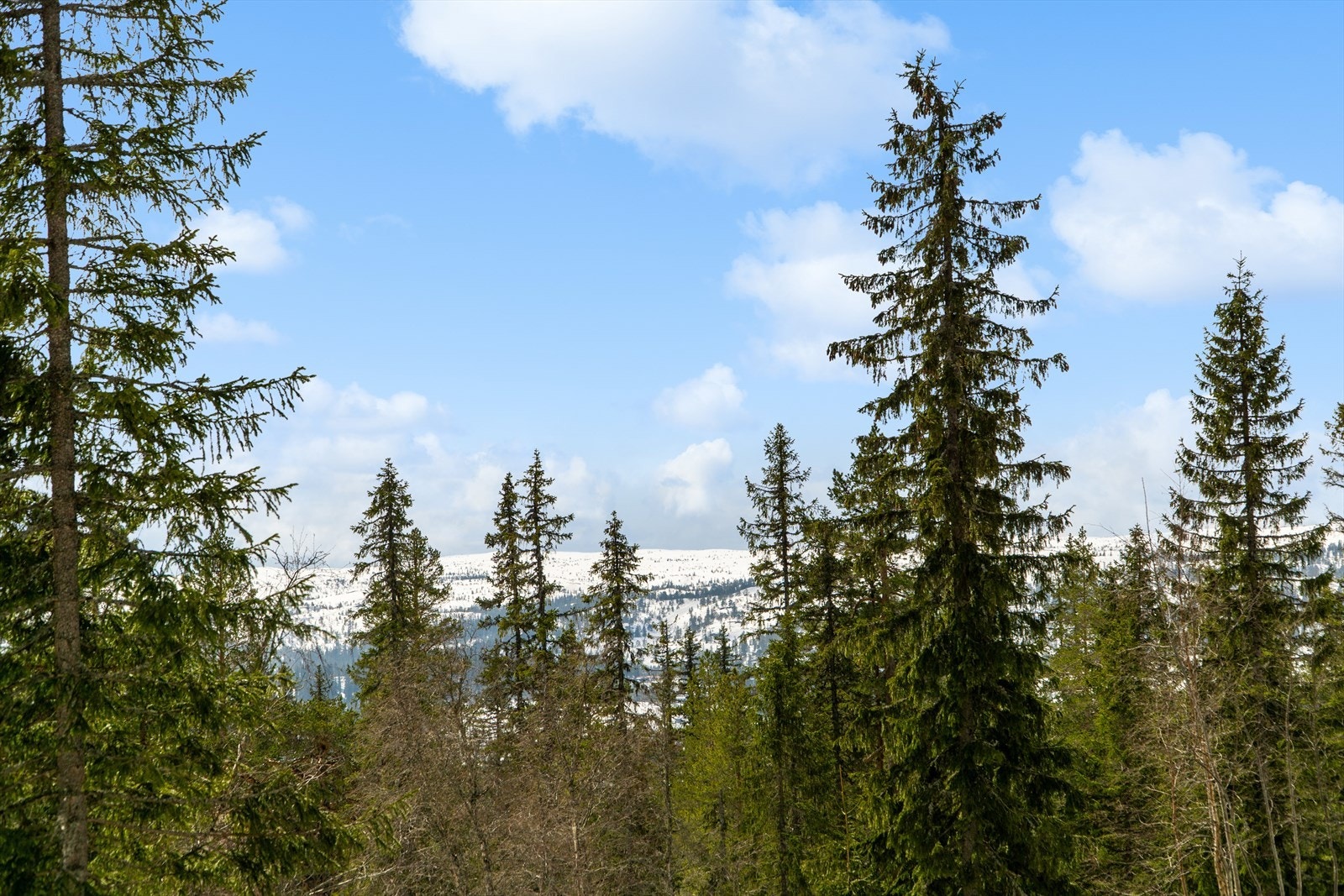 Denne utsikten kan bli din Galleribilde