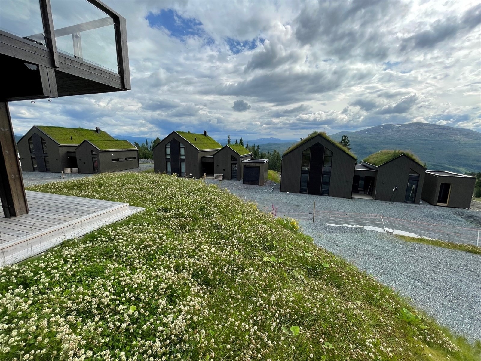 Fremre rekke med modellene B1S. Galleribilde