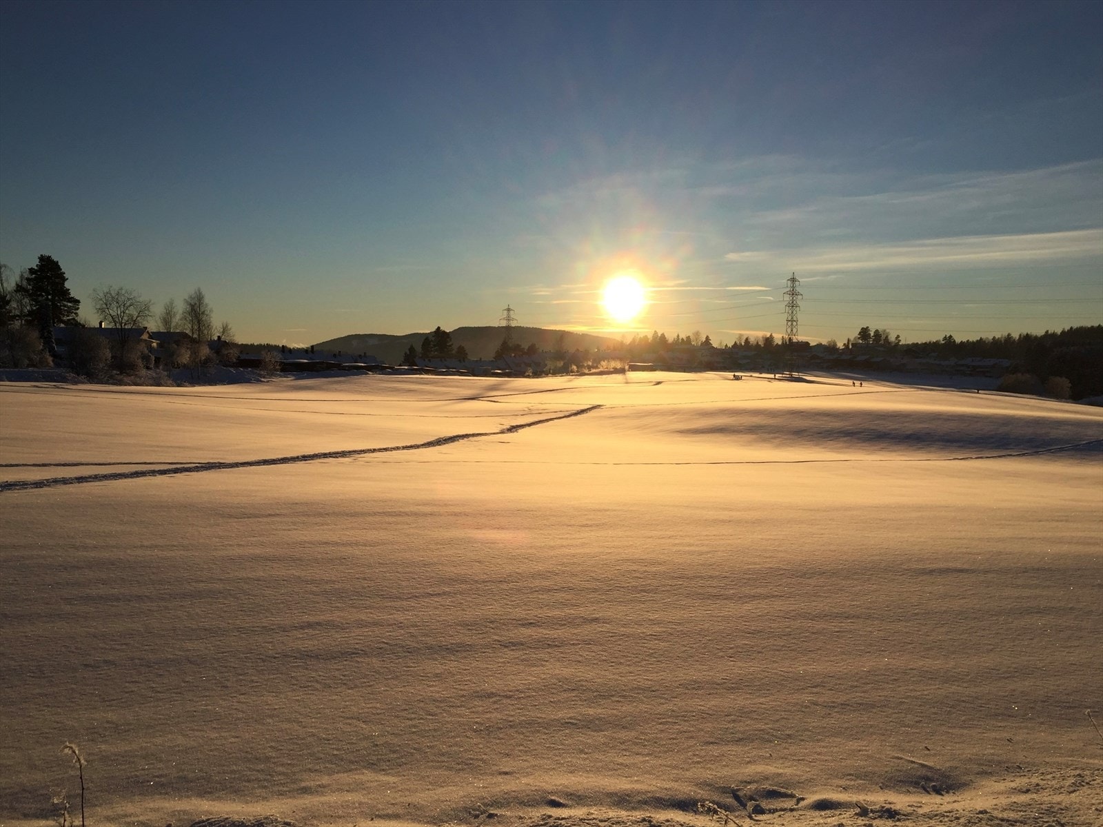 Selgers private bilde. Galleribilde