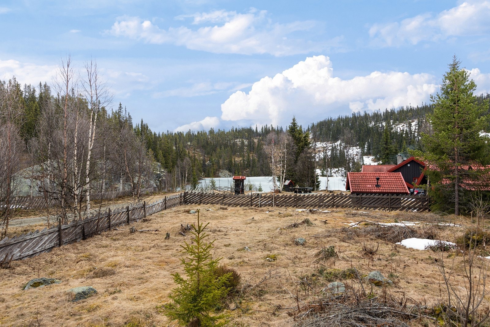 Utsikten fra terrassen ned mot Svartetjernet. Galleribilde