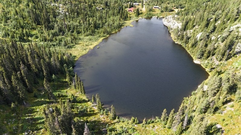 Dronefoto av Svartetjern. Galleribilde