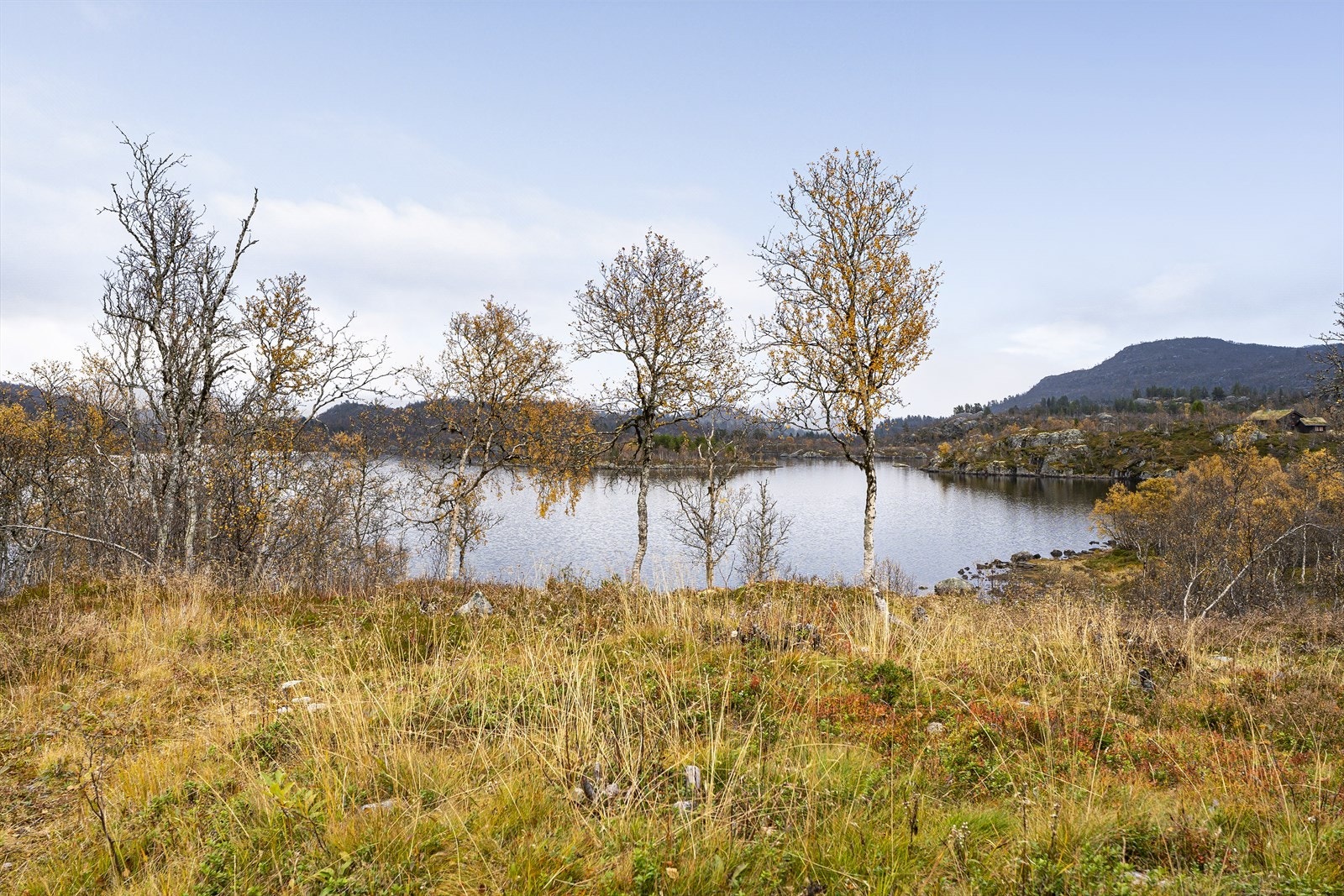 Umiddelbar nærhet til vakker natur og flotte turområder Galleribilde