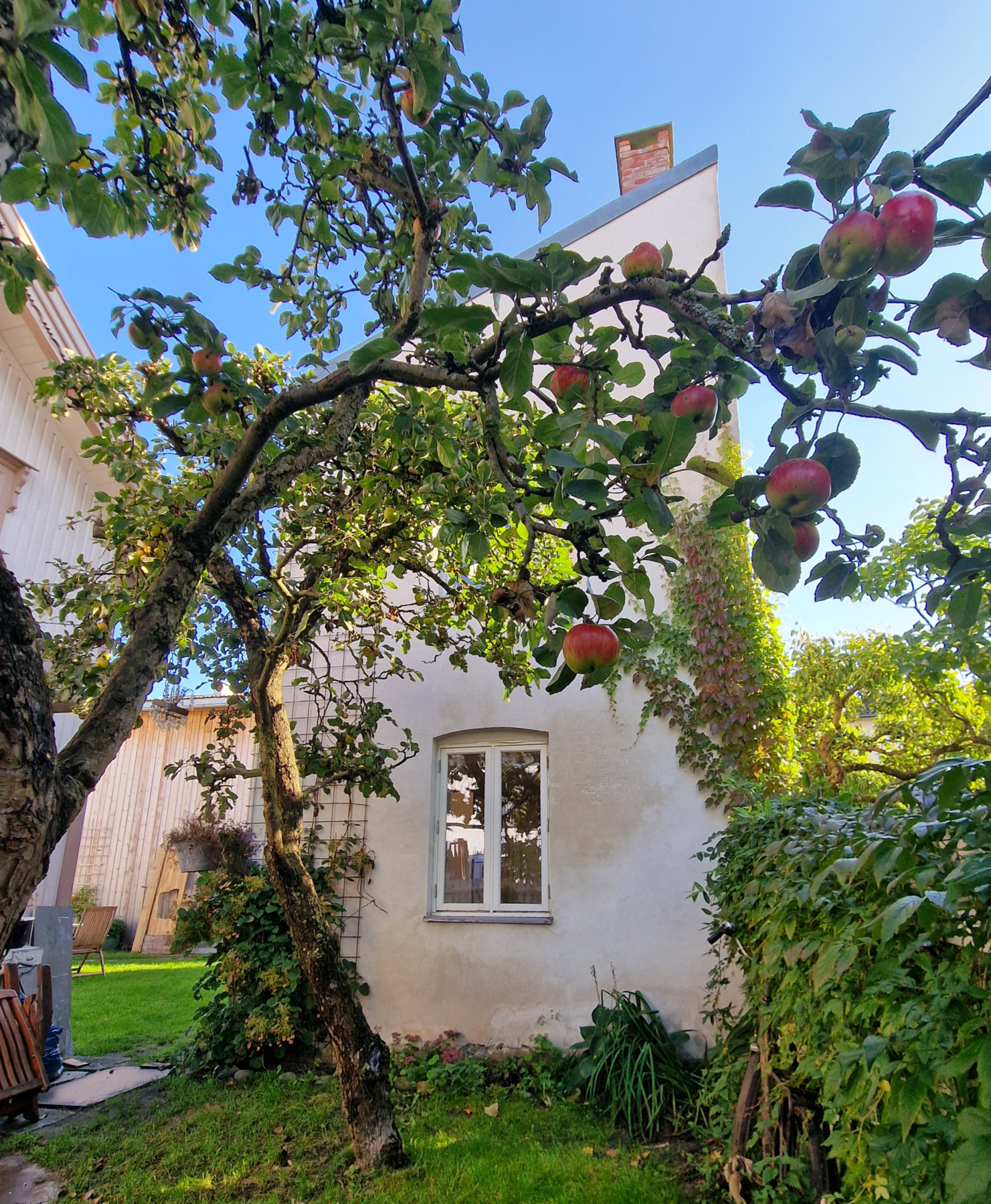 Fra den lille eplehagen mot annekset. Galleribilde