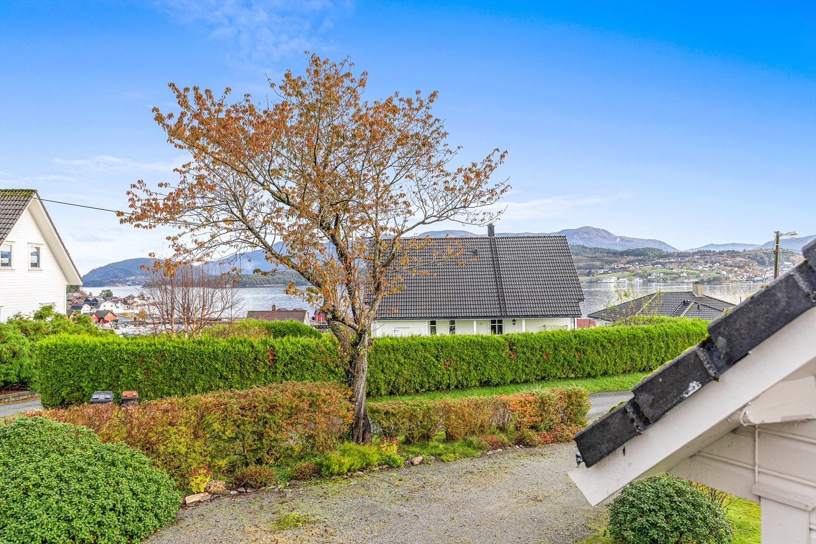 Utsikt fra terrassen Galleribilde