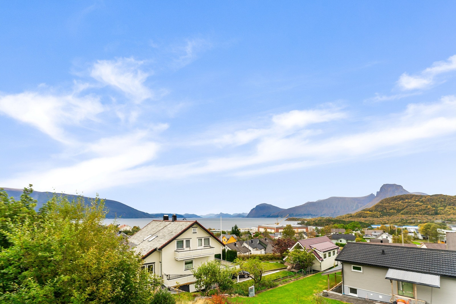 Utsikt. Galleribilde