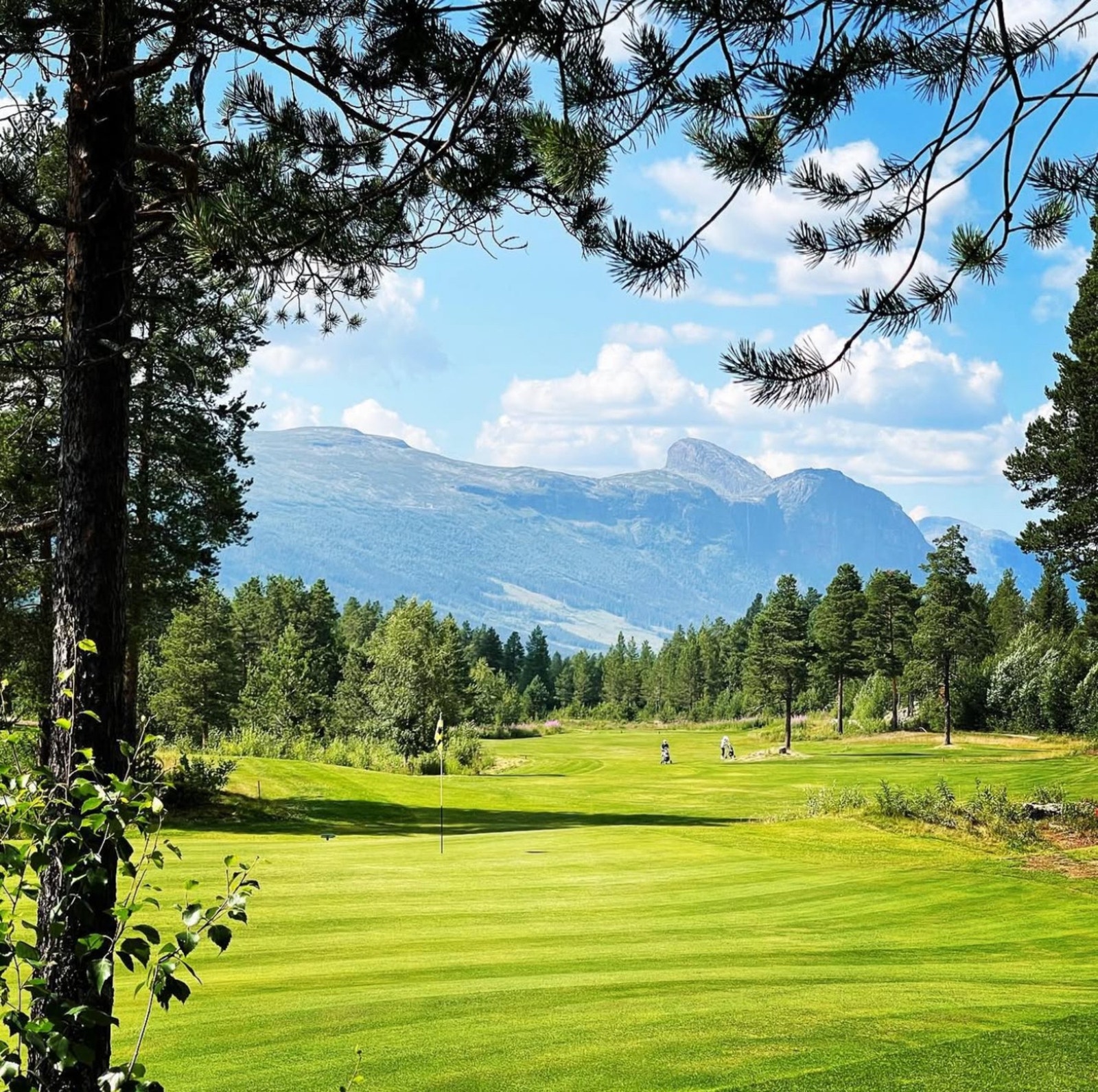 Bilde tatt av Lillian Iversen. Galleribilde