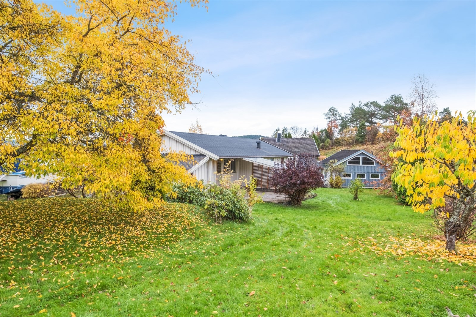 Fin hage som grender mot fri og landbruksareal. Galleribilde