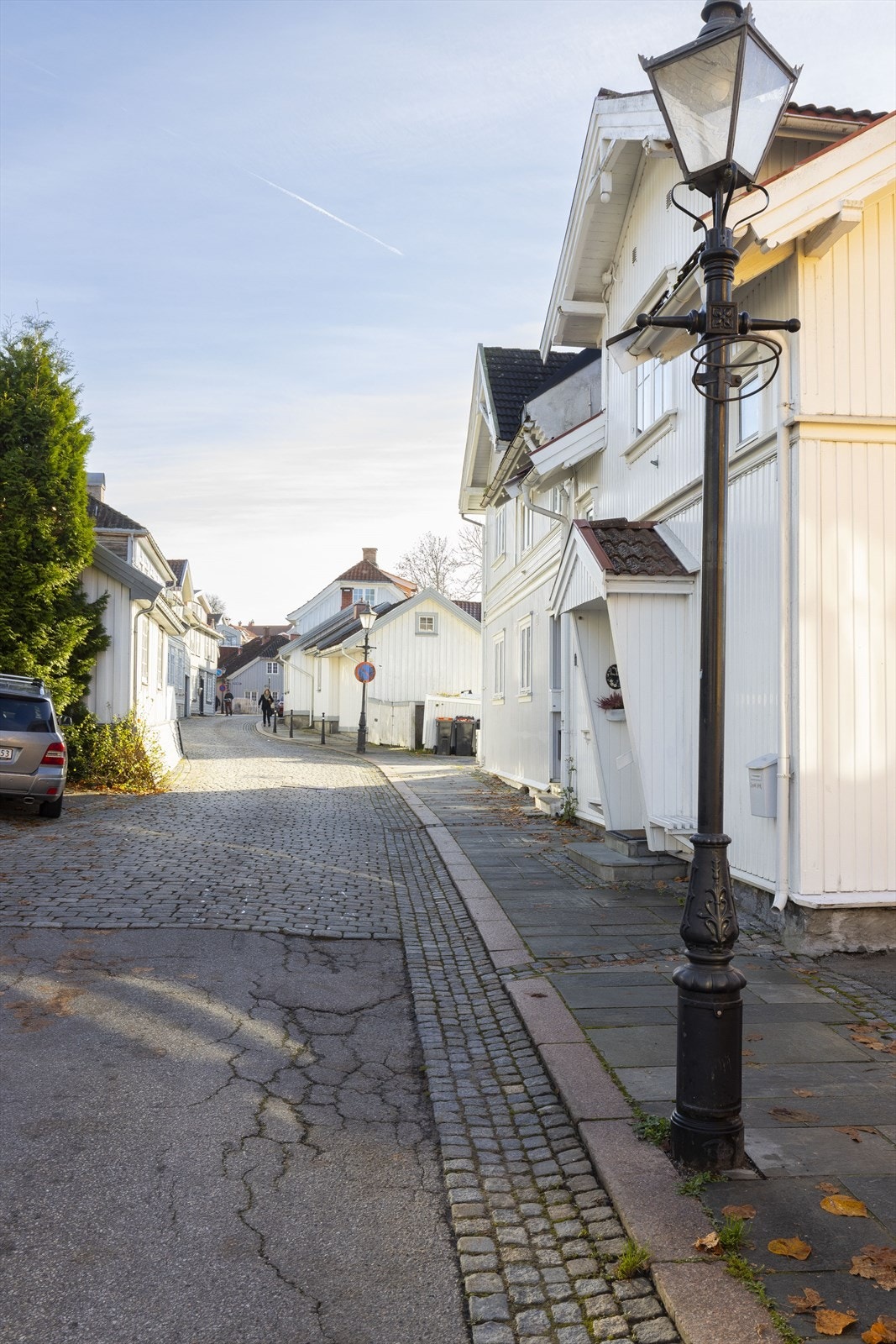 Koselige Snipetorp Galleribilde