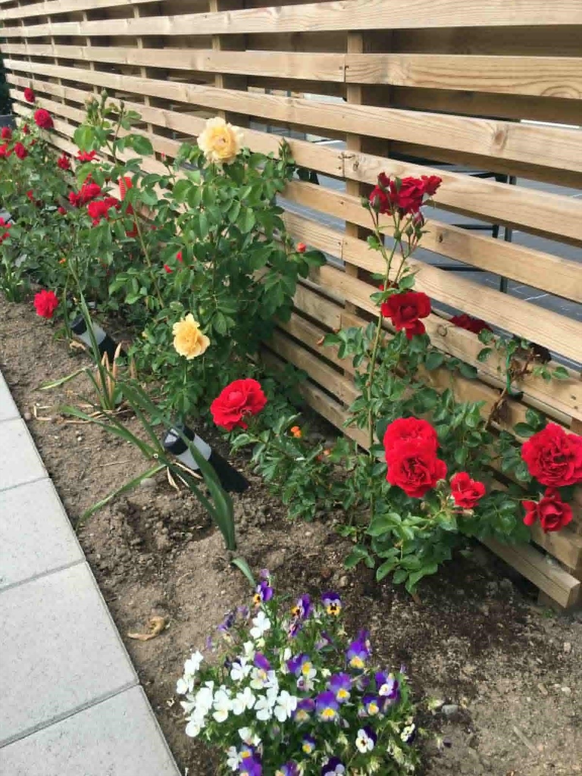 Selgers private bilde. Galleribilde