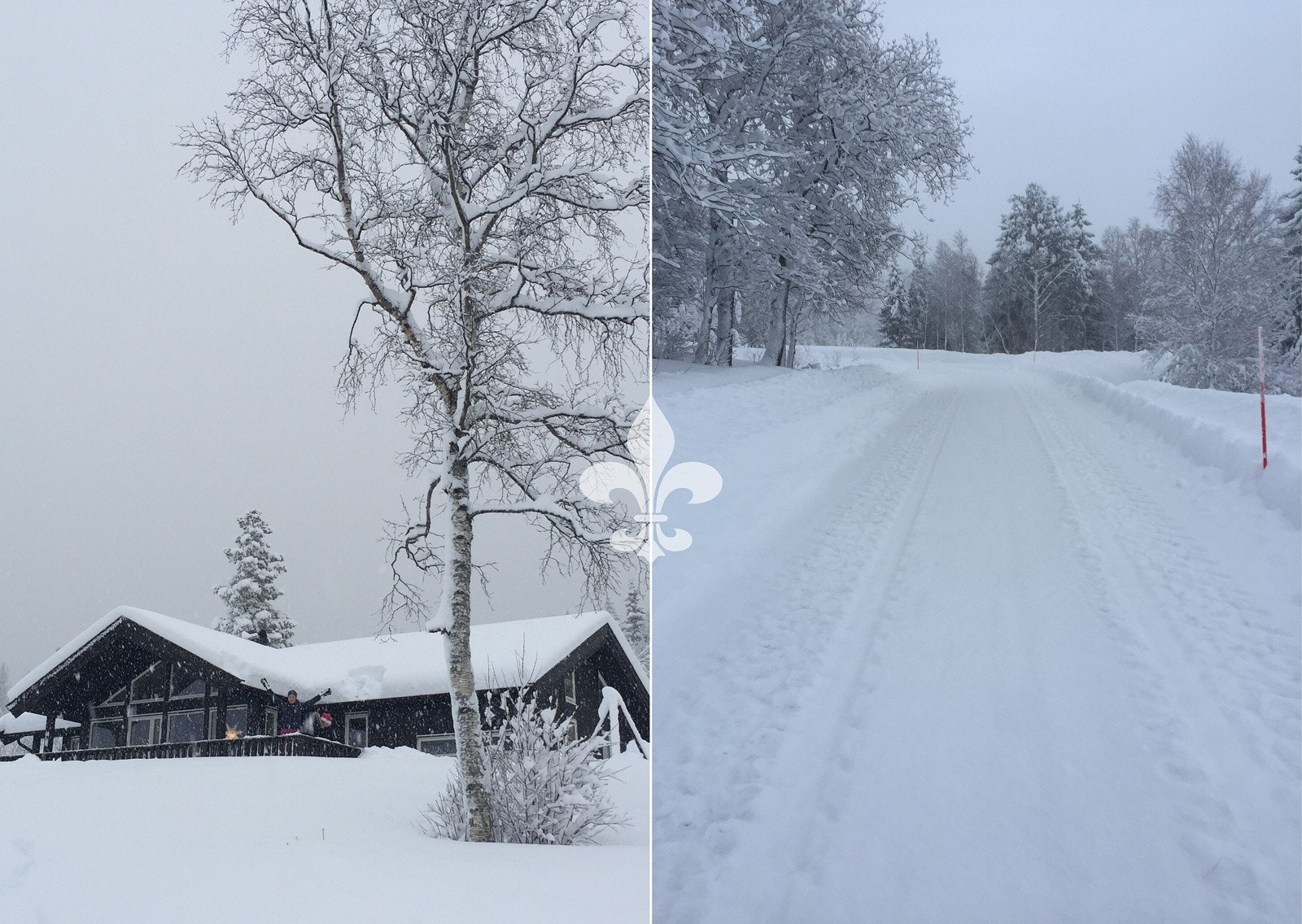 Det er helårs kjørevei frem til hytta og brøyting på vinterstid har fungert utmerket. Galleribilde
