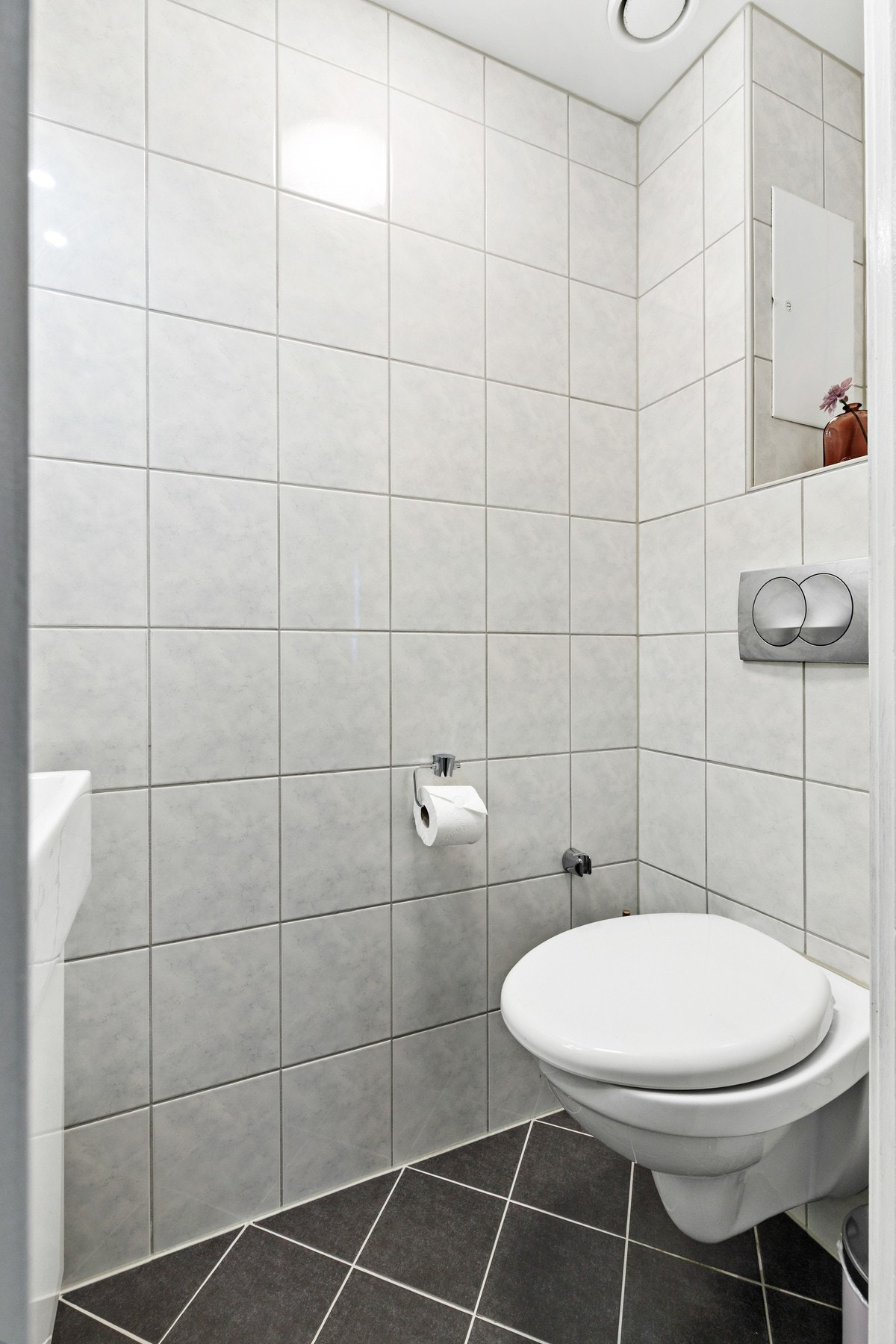 Rommet er innredet med vegghengt toalett og servant Galleribilde