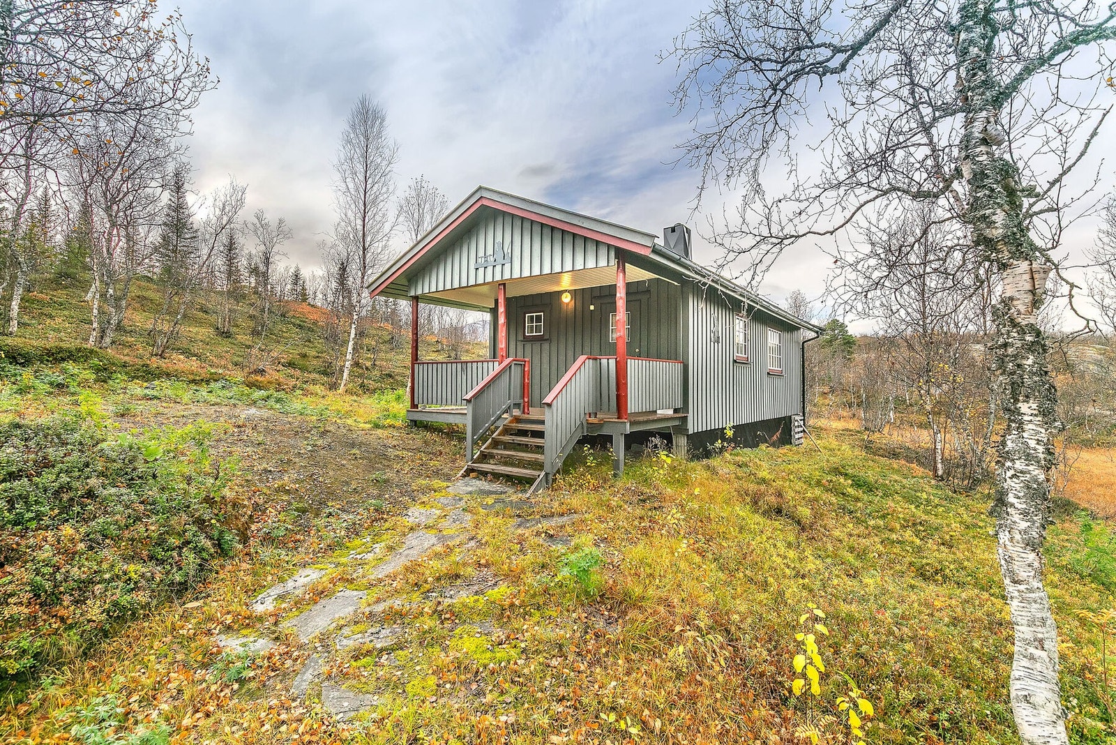Koselig fjellhytte med naturskjønn beliggenhet. Kjørevei frem til eiendommen. Innlagt strøm. Galleribilde