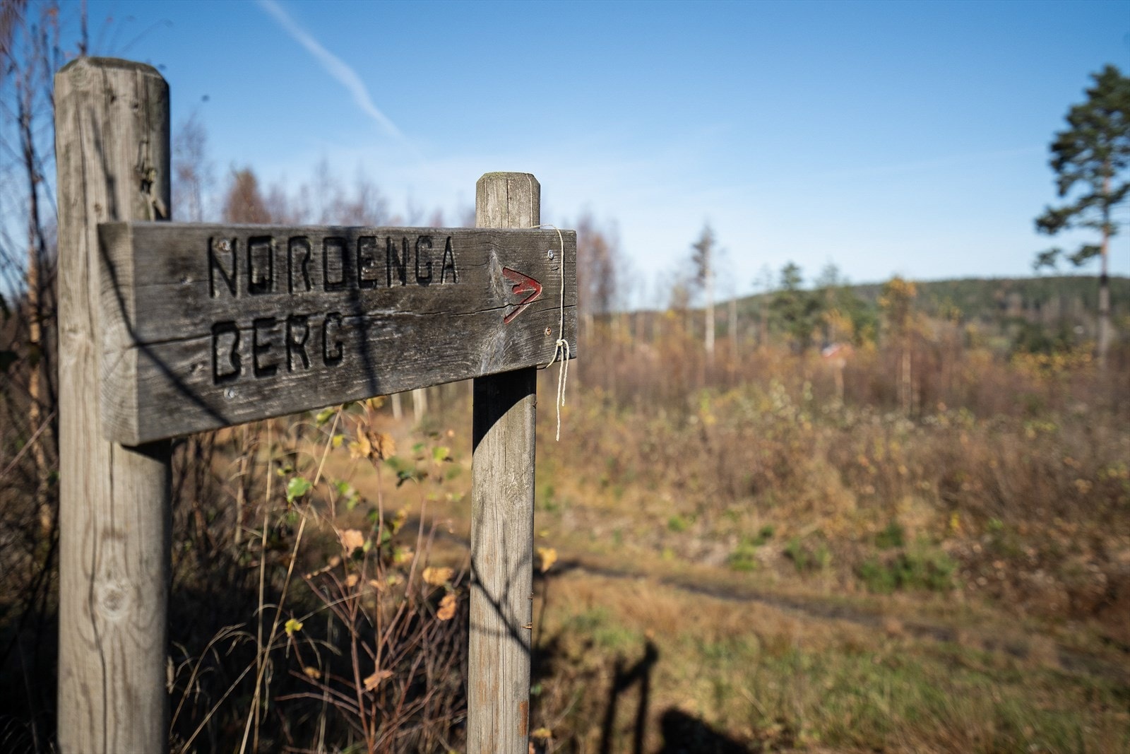 Det finnes flere flotte tur- og friluftsområder sommer som vinter. Galleribilde