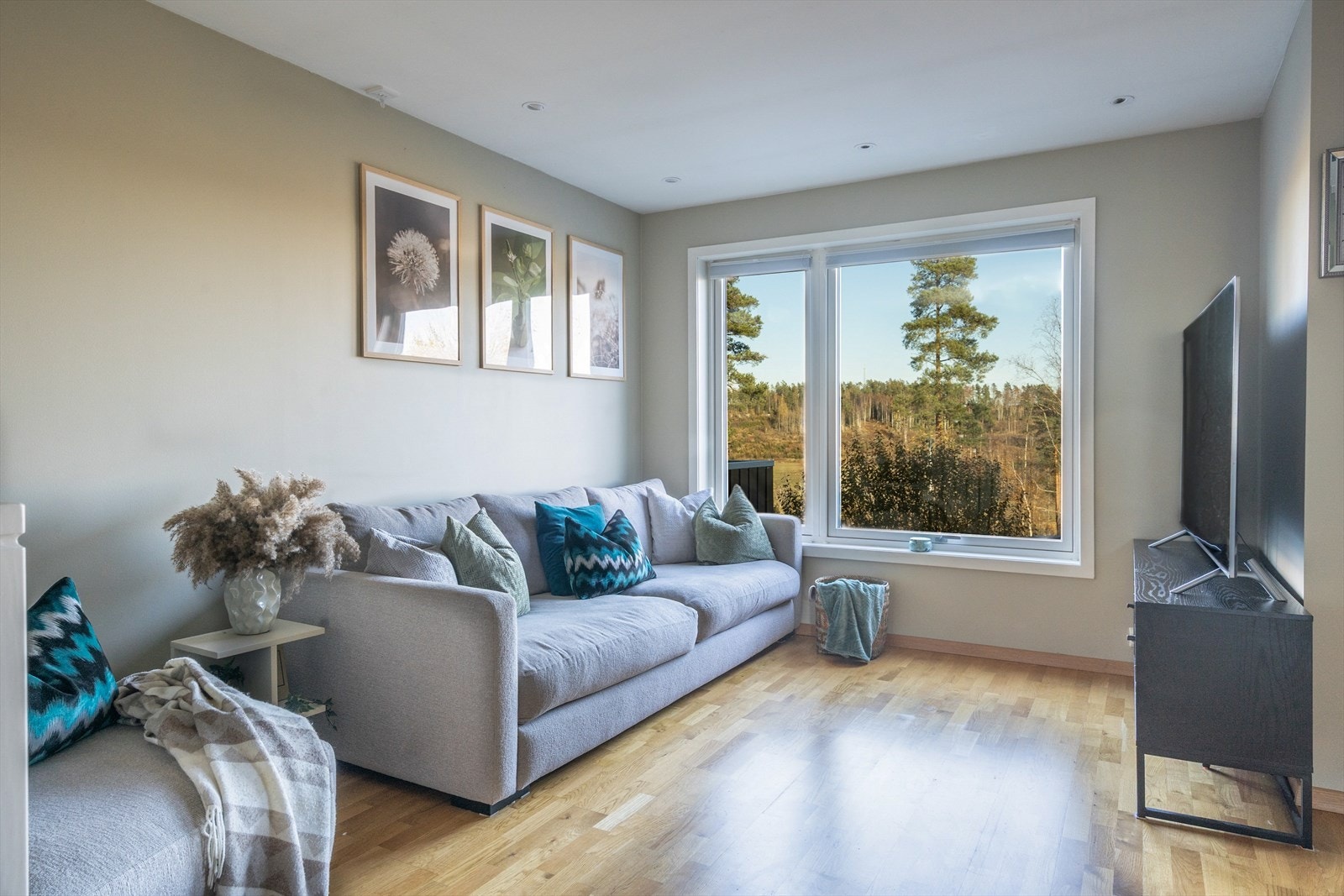 Her kan familien samle seg til en hyggelig kveld foran tv. Galleribilde