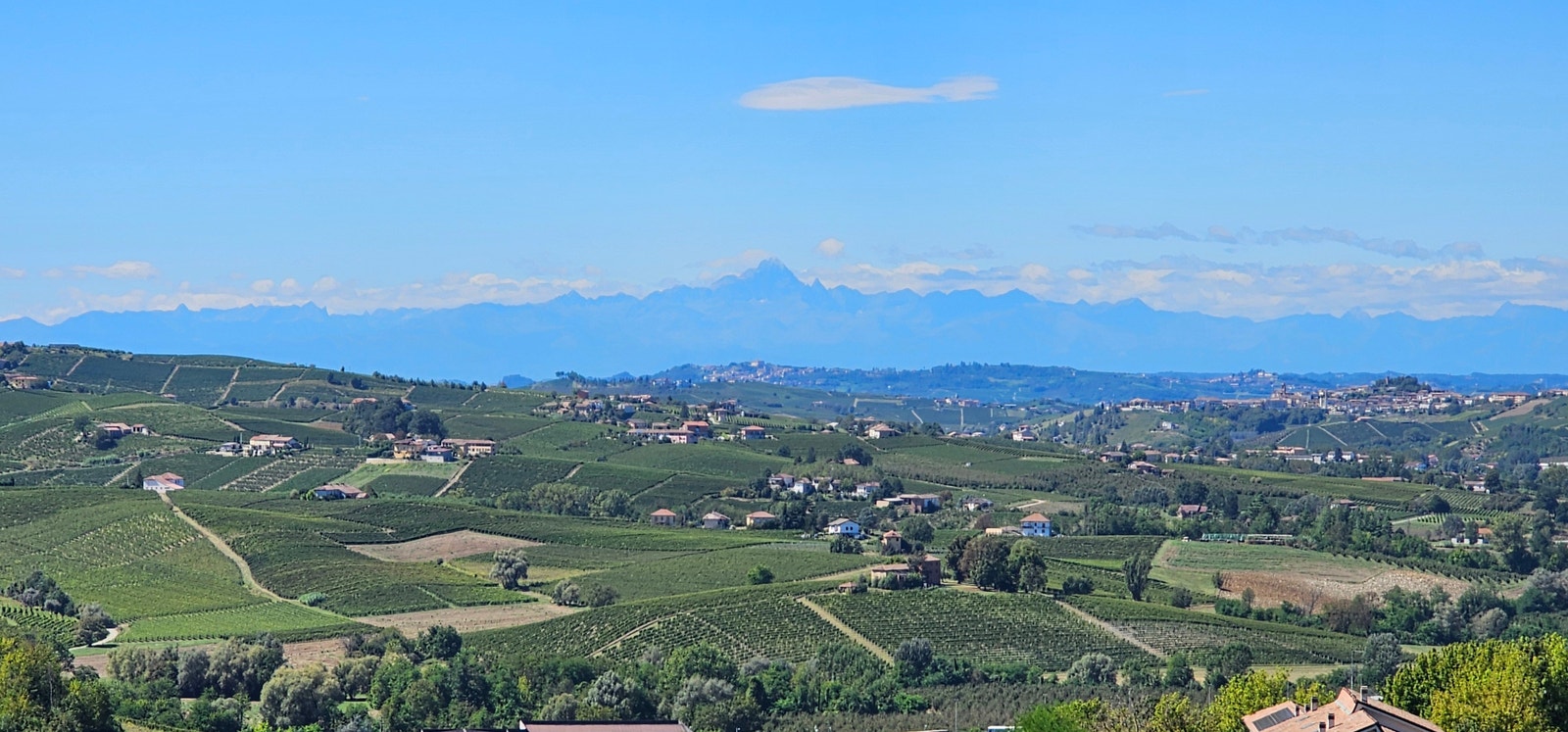 Utsikt alper og vinmark Galleribilde