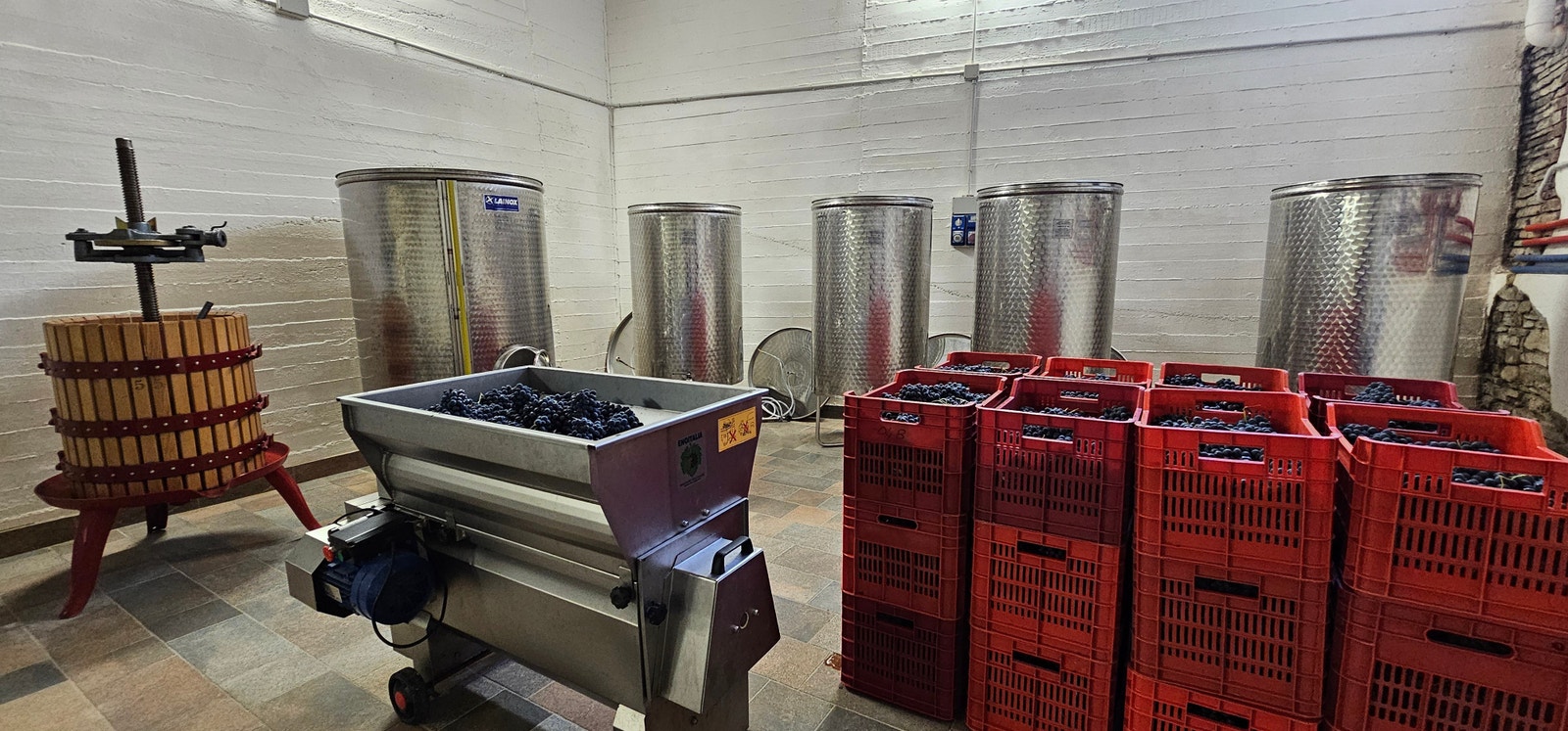 Vinproduksjon Galleribilde