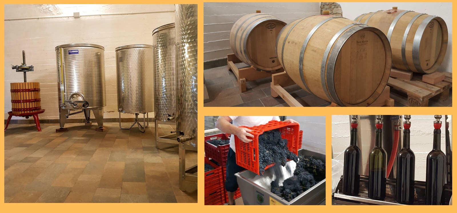 Vinproduksjon Galleribilde