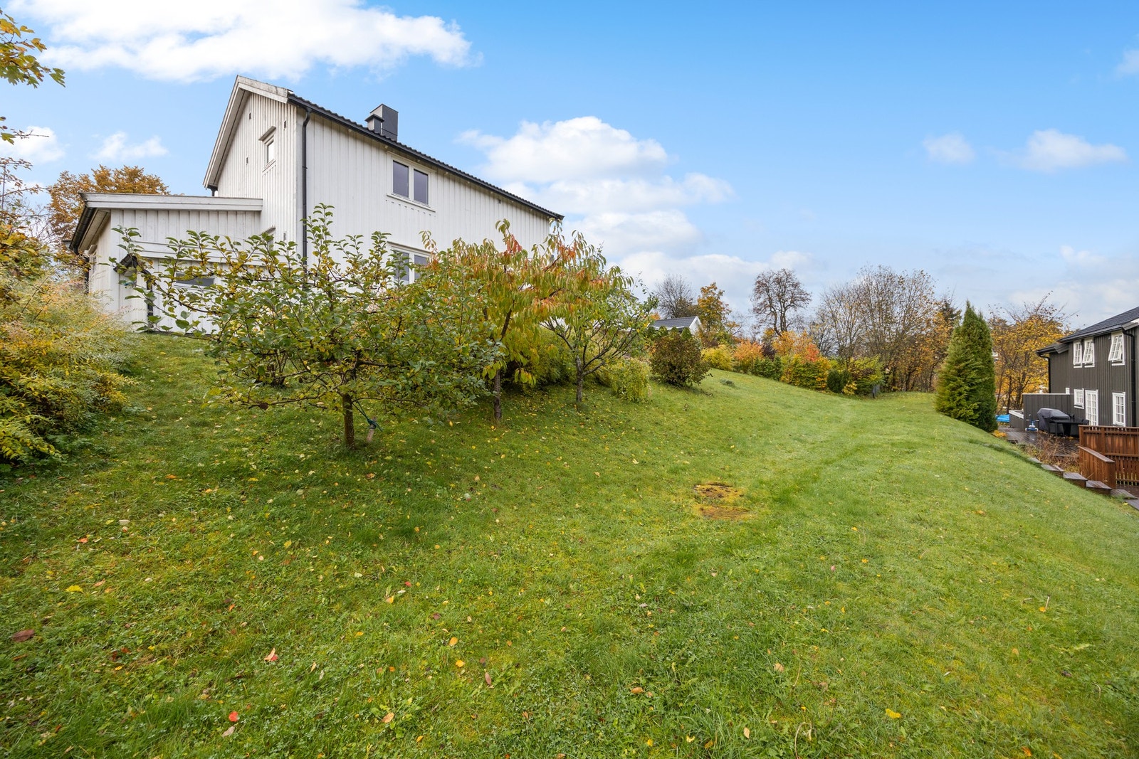 Plenlagt areal Galleribilde