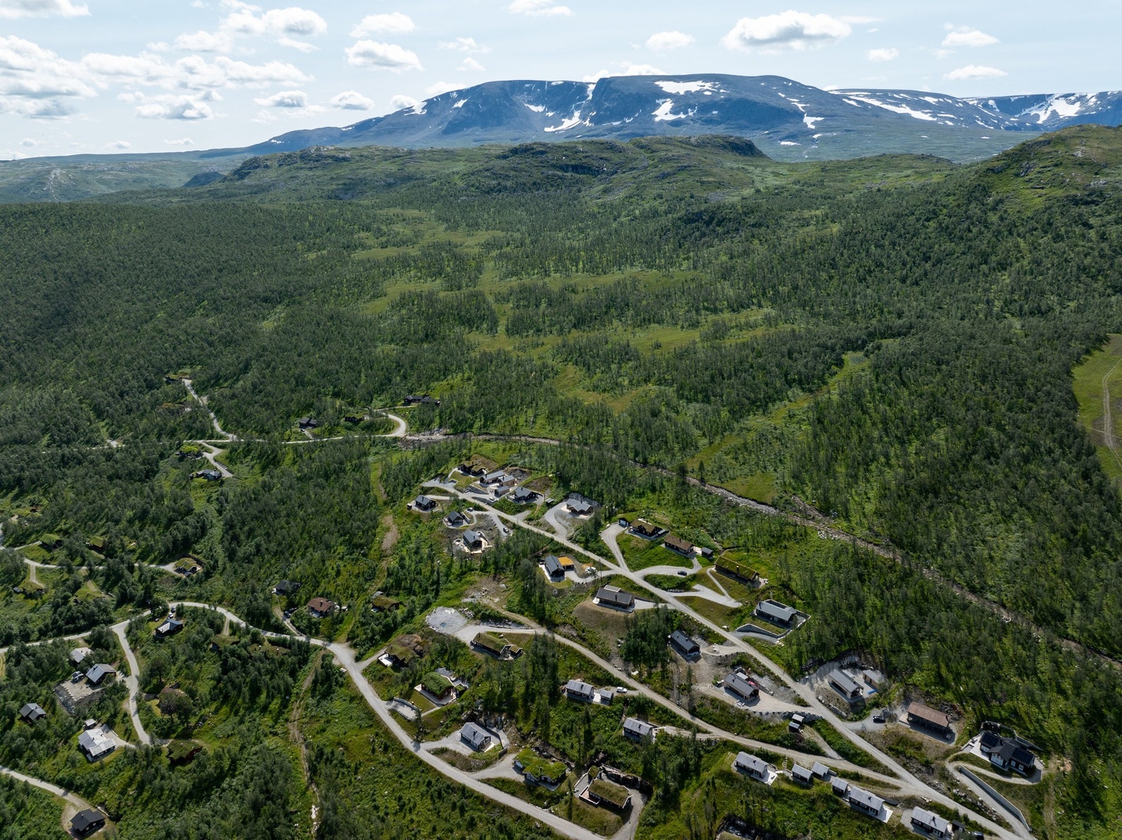 Hyttefeltet på sommerstid - med Hallingskarvet som bakteppe Galleribilde