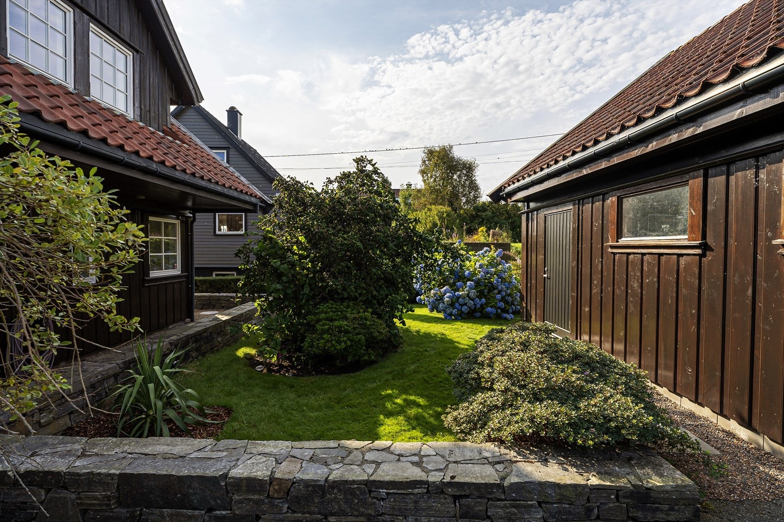 Flott beplantning i hage Galleribilde